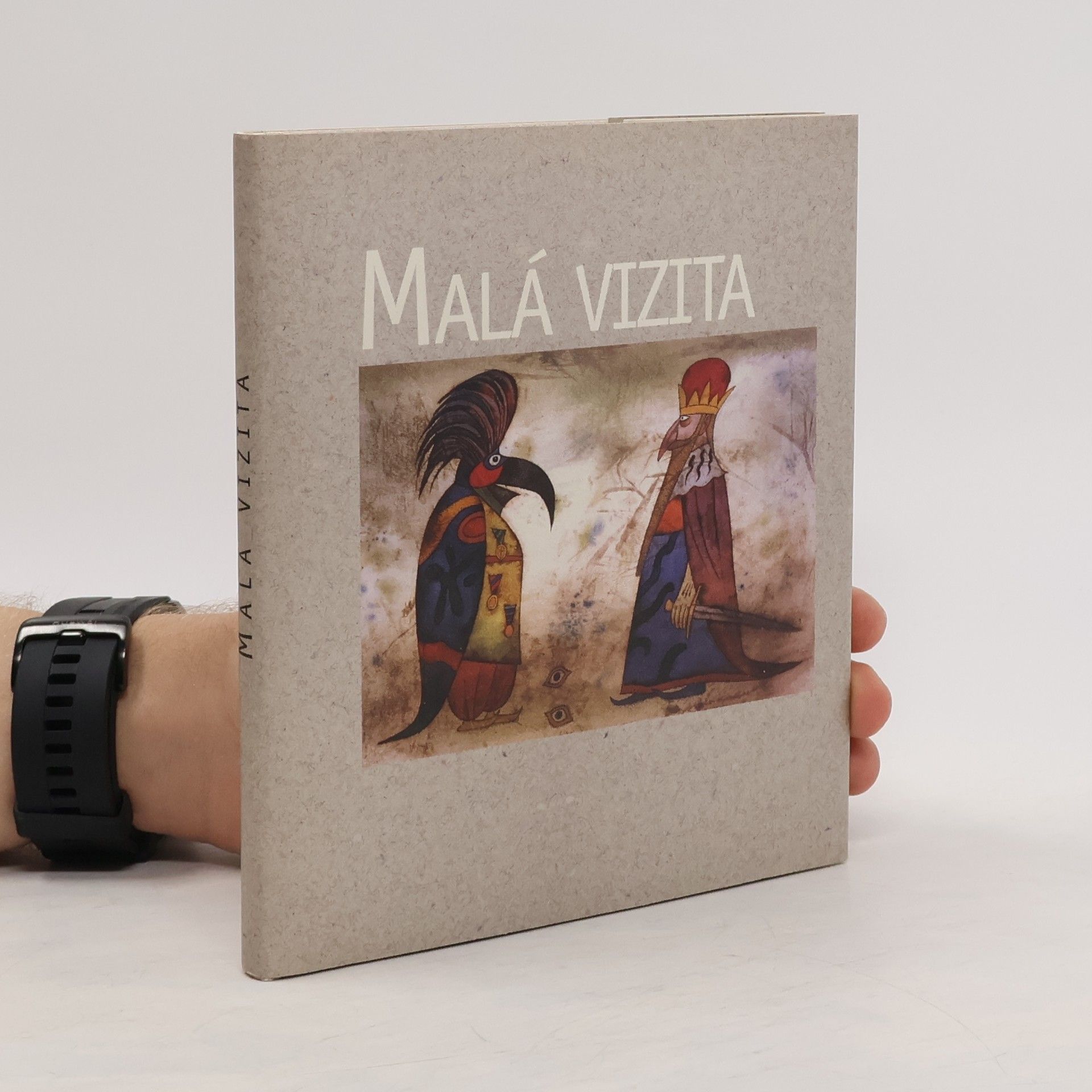 Autorenkollektiv Malá vizita