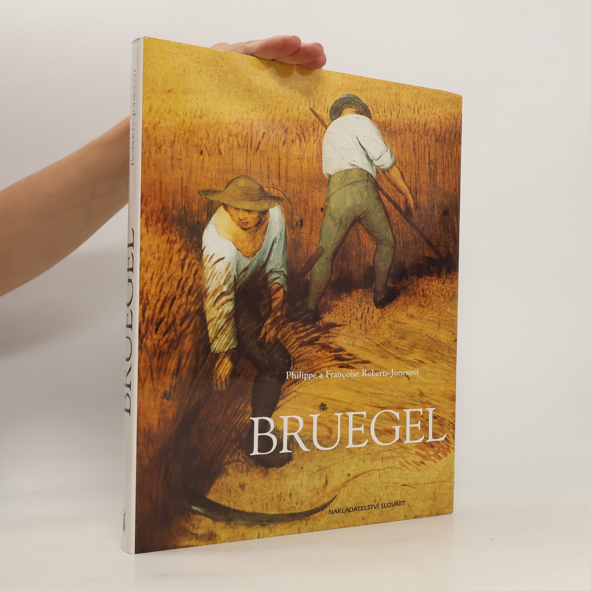Philippe Robert-Jones Bruegel