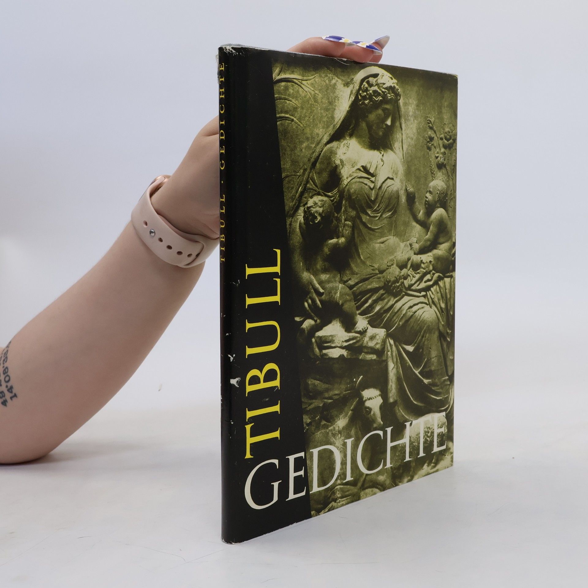 Albius Tibullus Gedichte