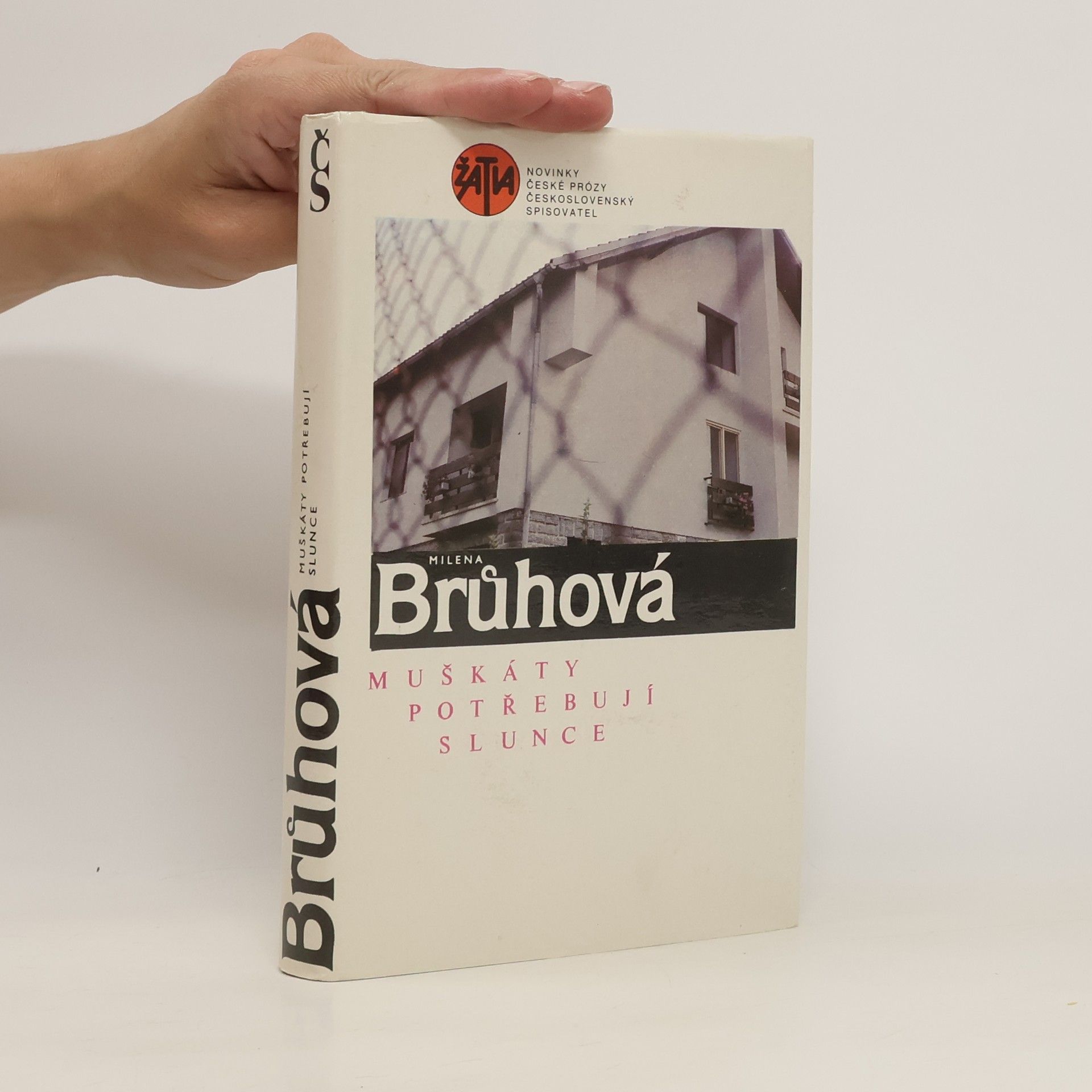 Brůhová Milena Muškáty potřebují slunce