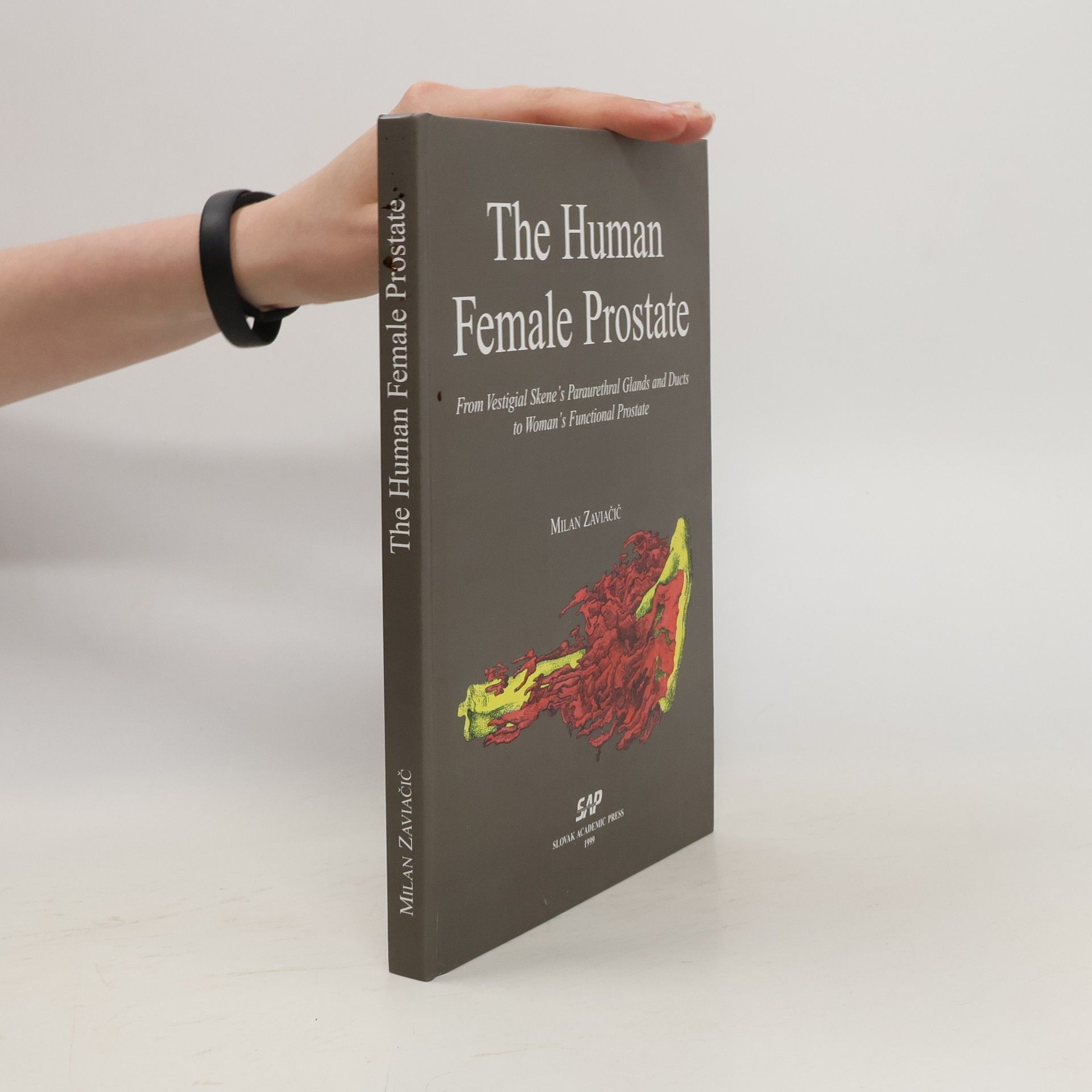 Milan Zaviačič The Human Female Prostate