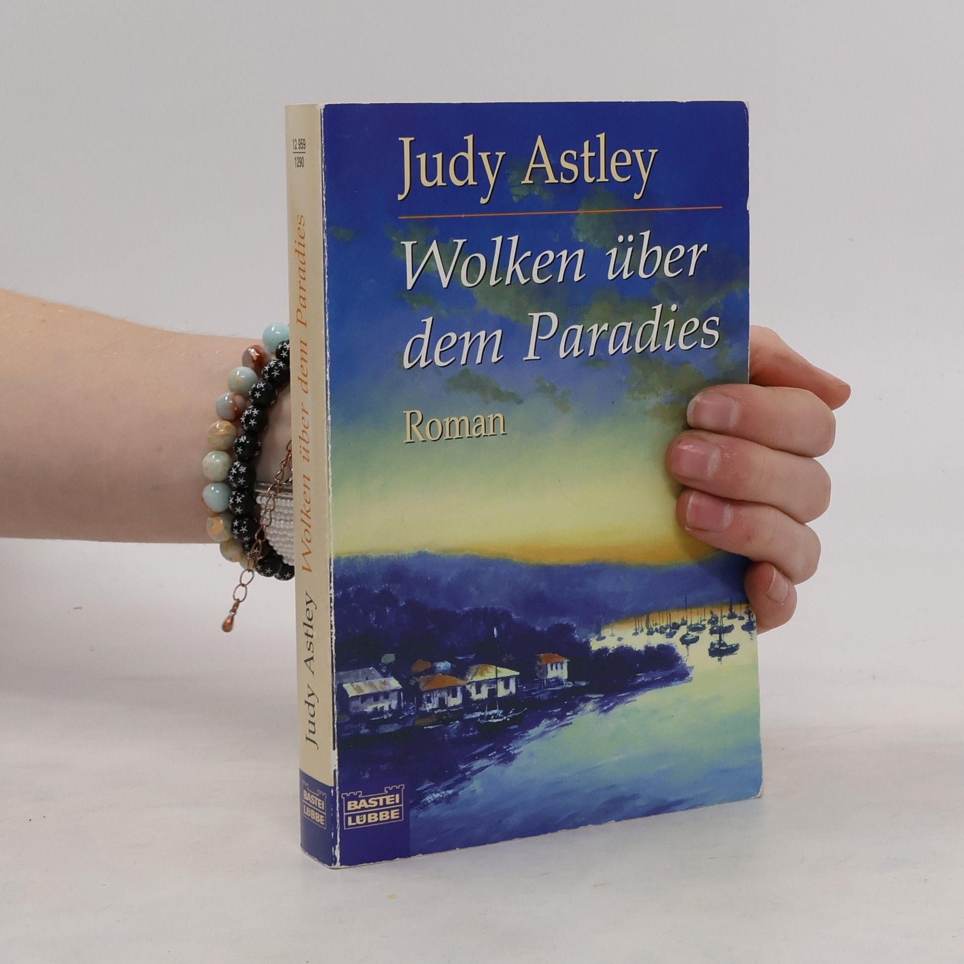 Judy Astley Wolken über dem Paradies. Roman. Aus d. Engl. v. Hedda Pänke
