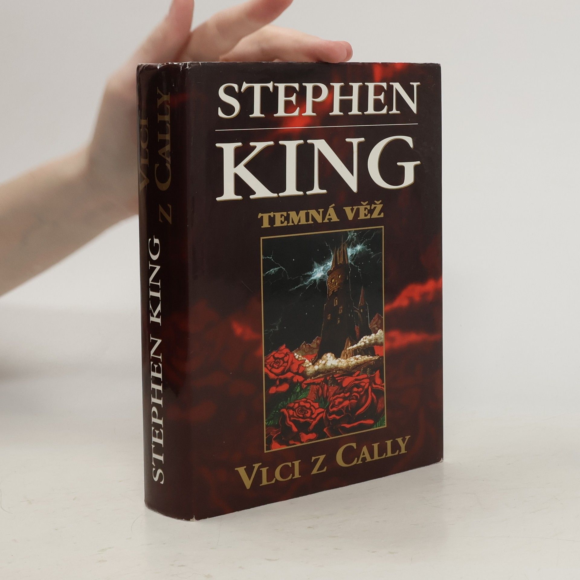 Stephen King Temná věž V.