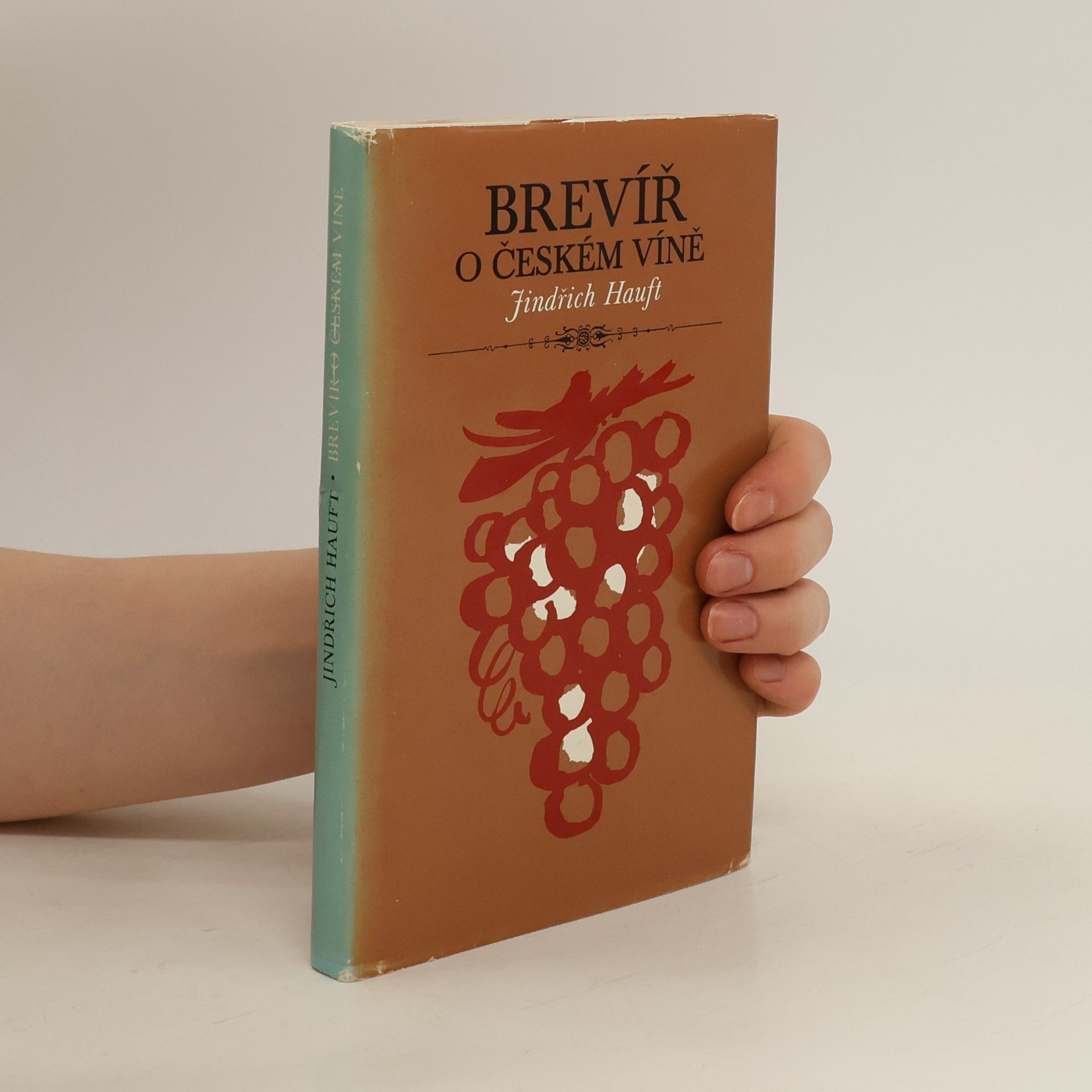 Jindřich Hauft Brevíř o českém víně