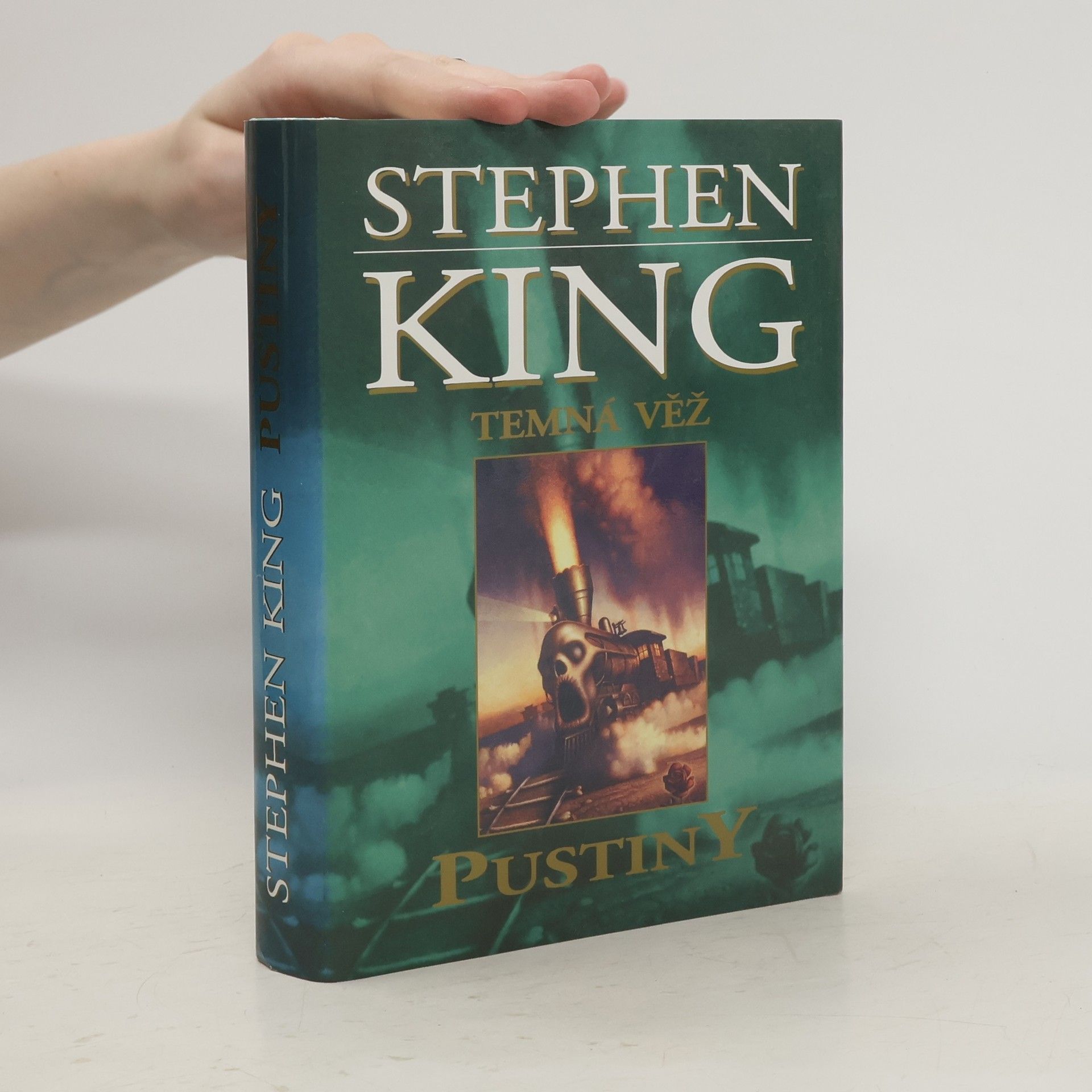 Stephen King Temná věž. Pustiny
