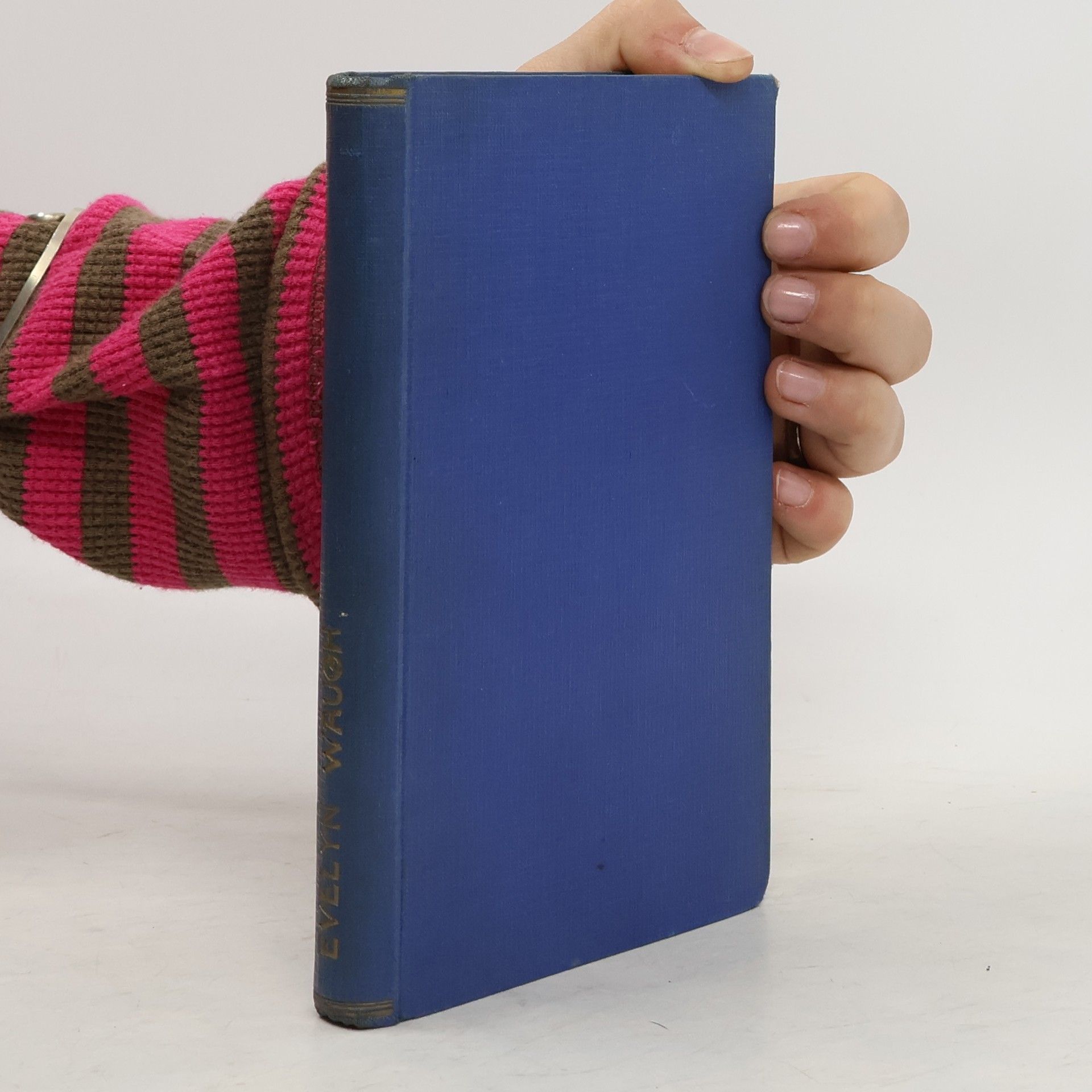 Evelyn Waugh A Handful of Dust