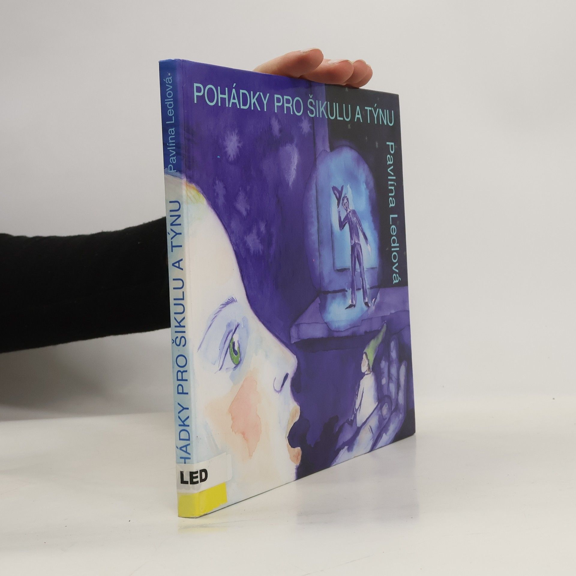 Pavlína Ledlová Pohádky pro Šikulu a Týnu