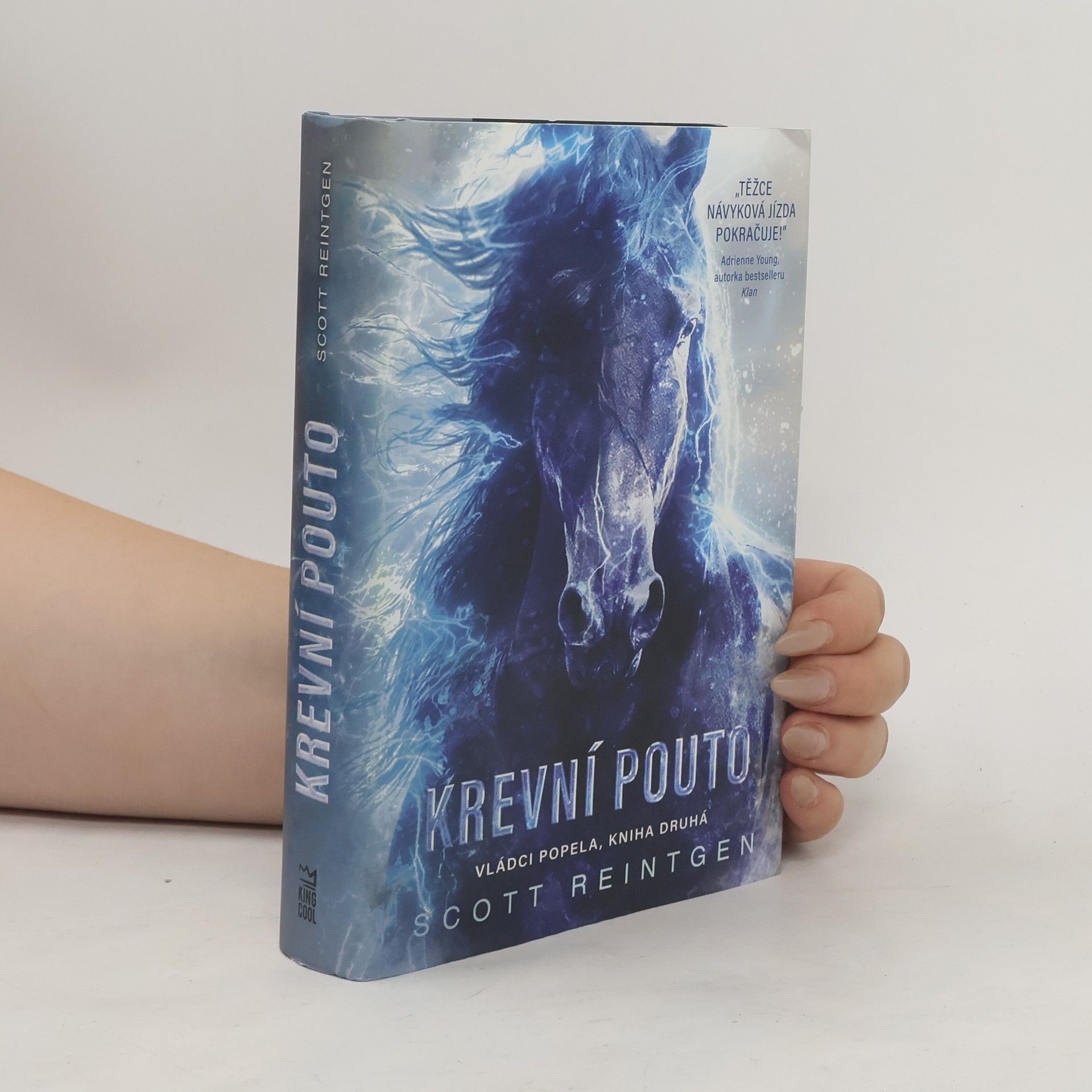 Scott Reintgen Vládci popela. Kniha druhá, Krevní pouto