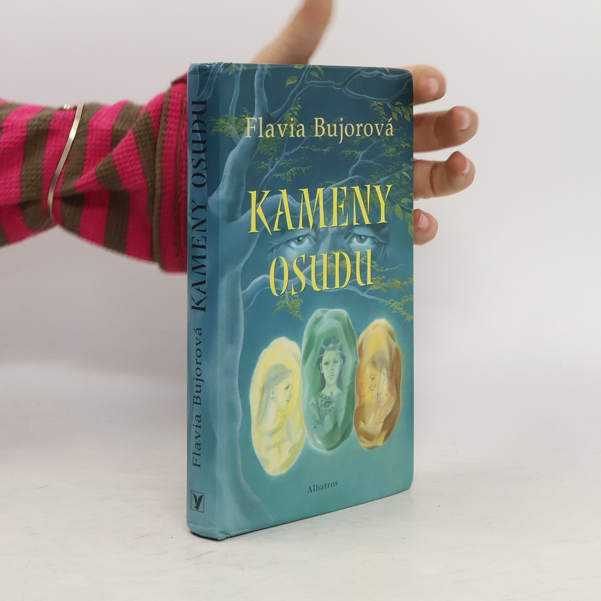 Flavia Bujor Kameny osudu