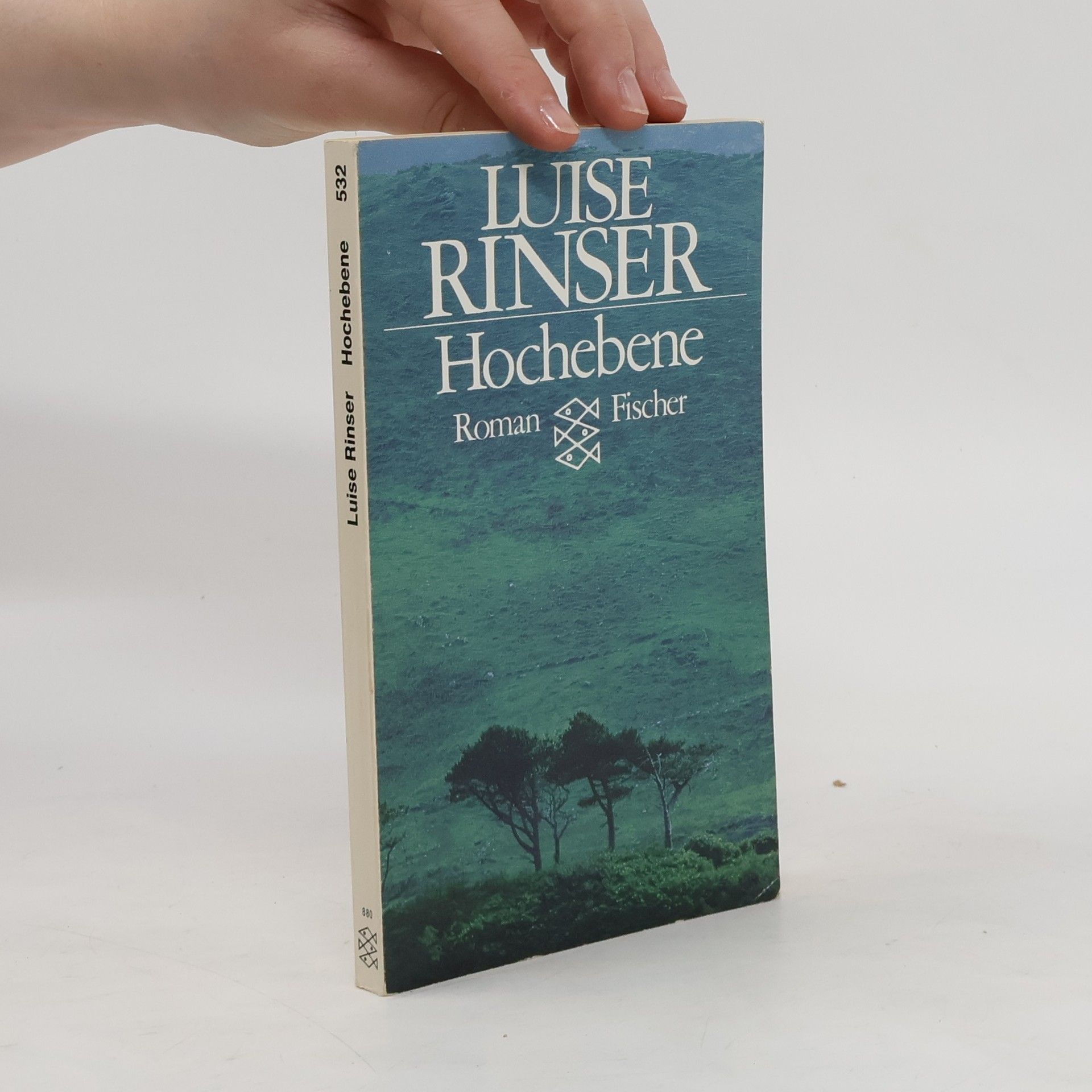 Luise Rinser Hochebene
