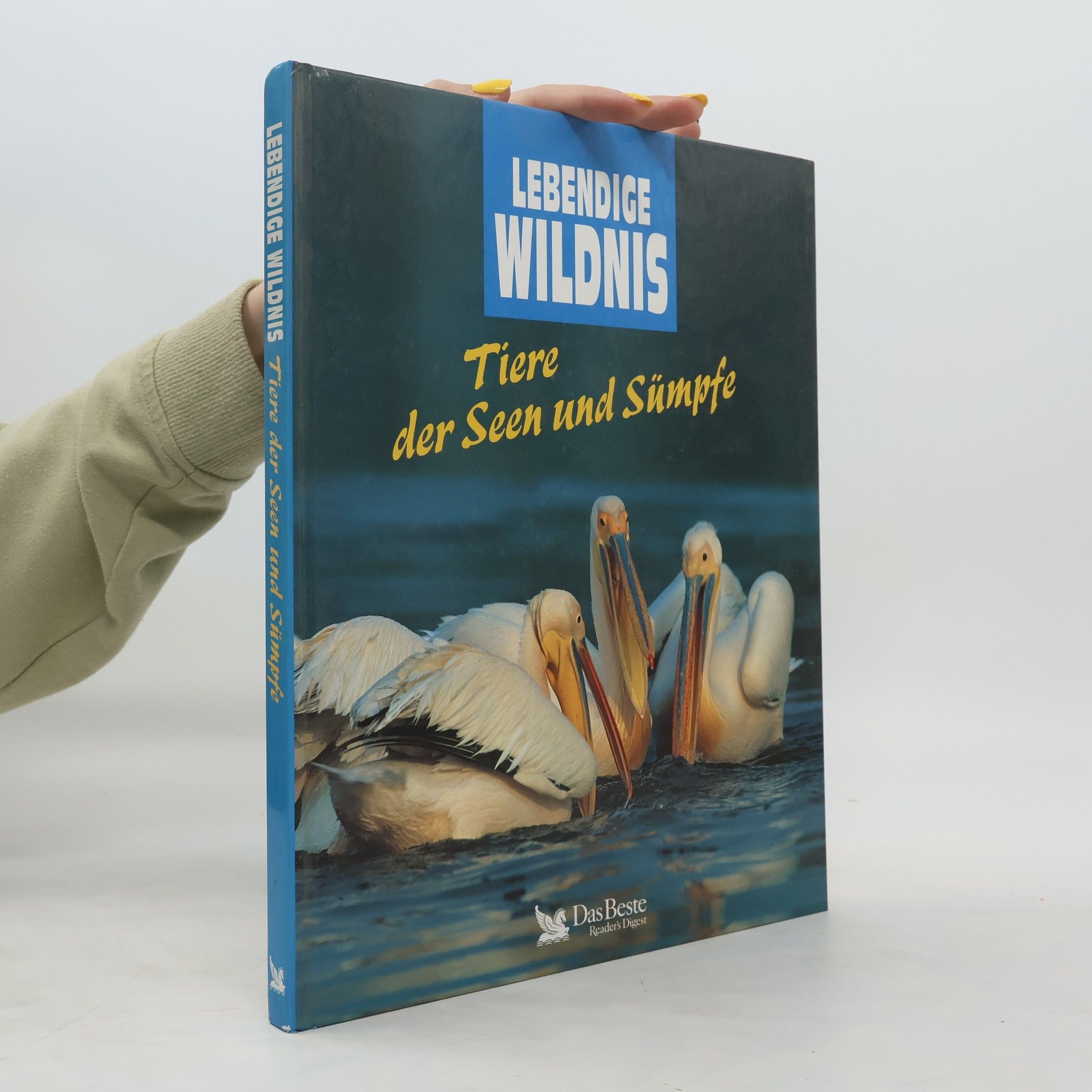 Angela Meder Tiere der Seen und Sümpfe