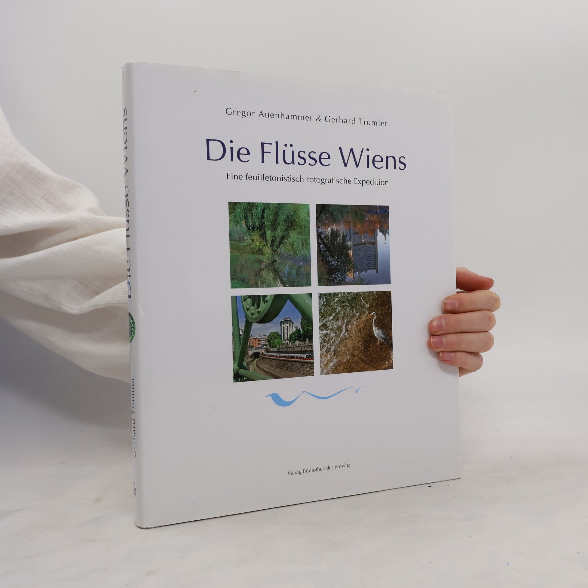 Gregor Auenhammer Die Flüsse Wiens