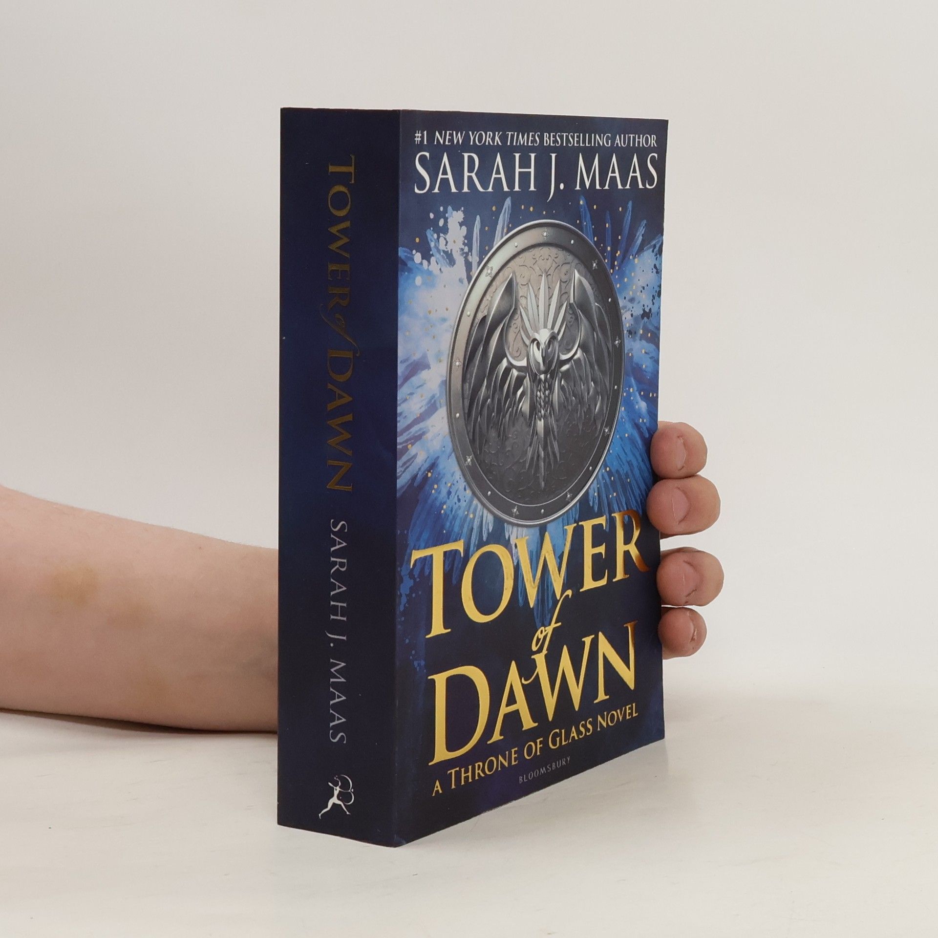 Sarah J. Maas Tower of dawn