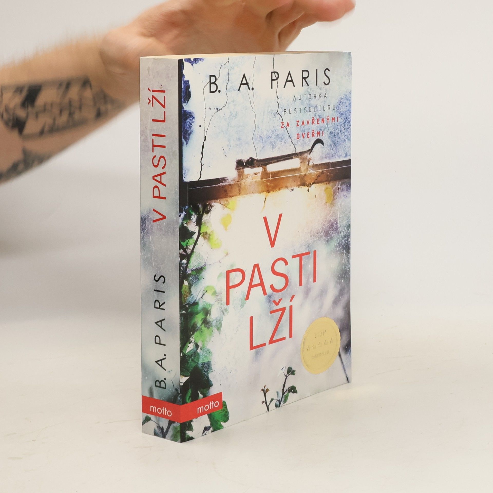 B. A. Paris V pasti lží