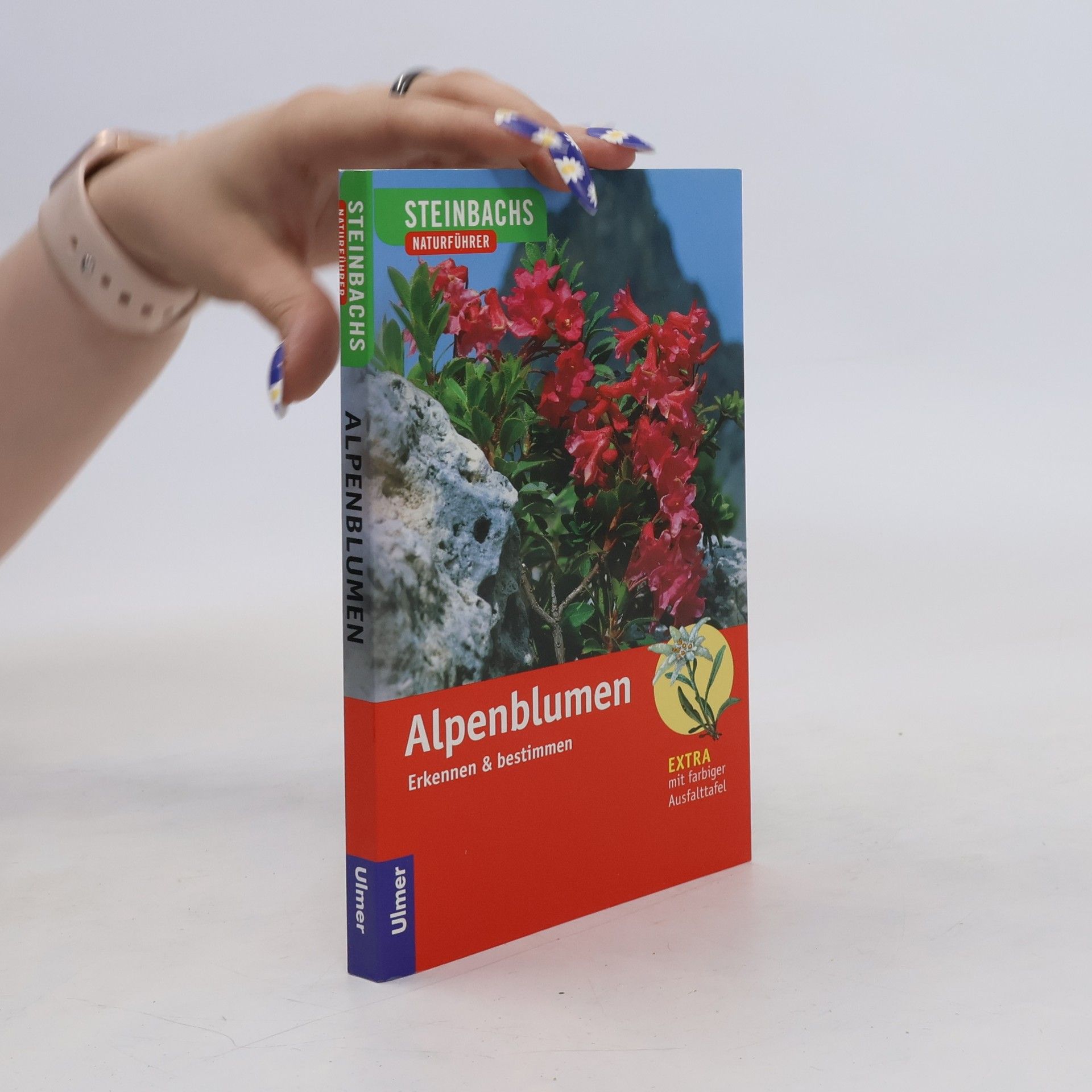 Xaver Finkenzeller Alpenblumen
