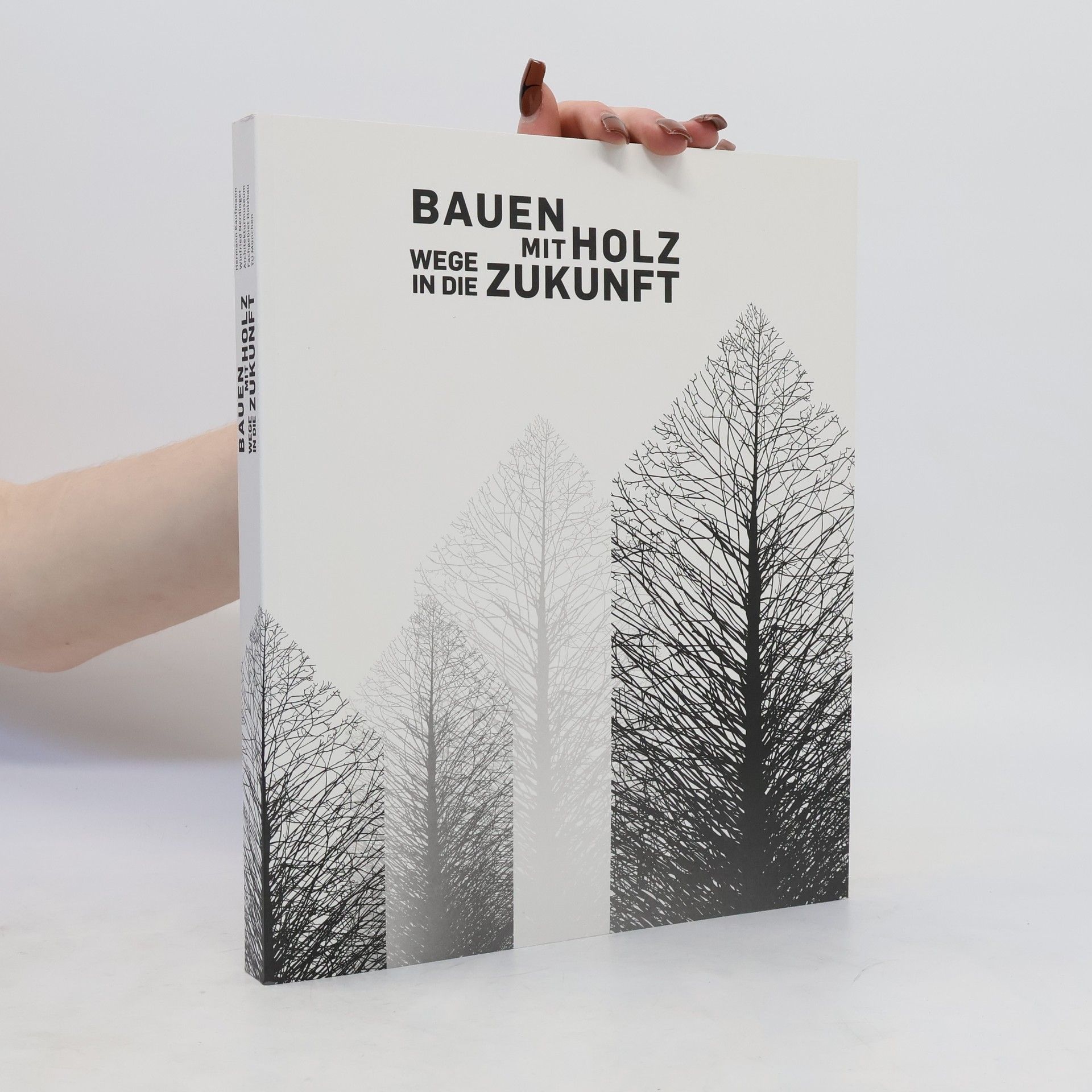 Auteurscollectief Bauen mit Holz. Wege in die Zukunft