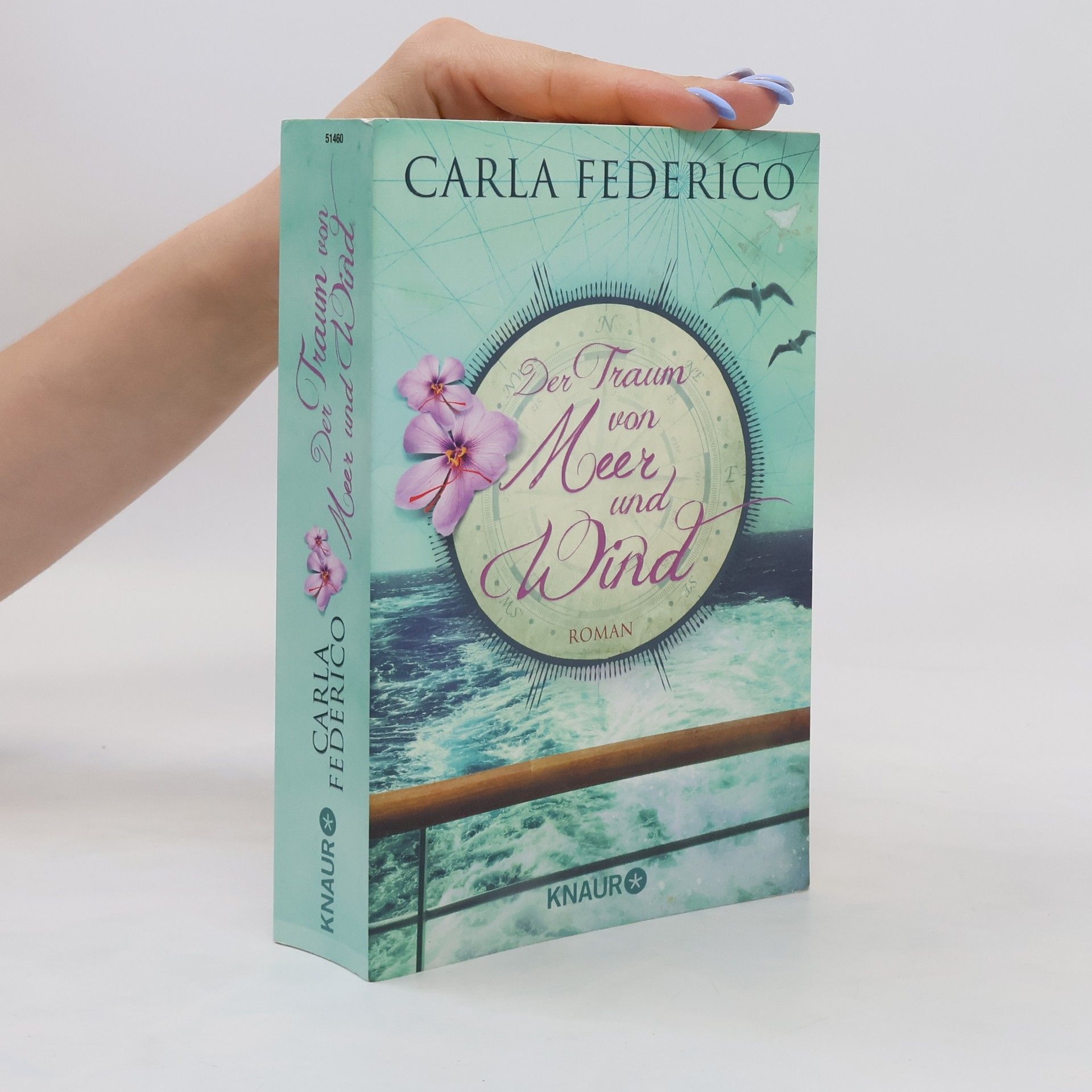Carla Federico Der Traum von Meer und Wind