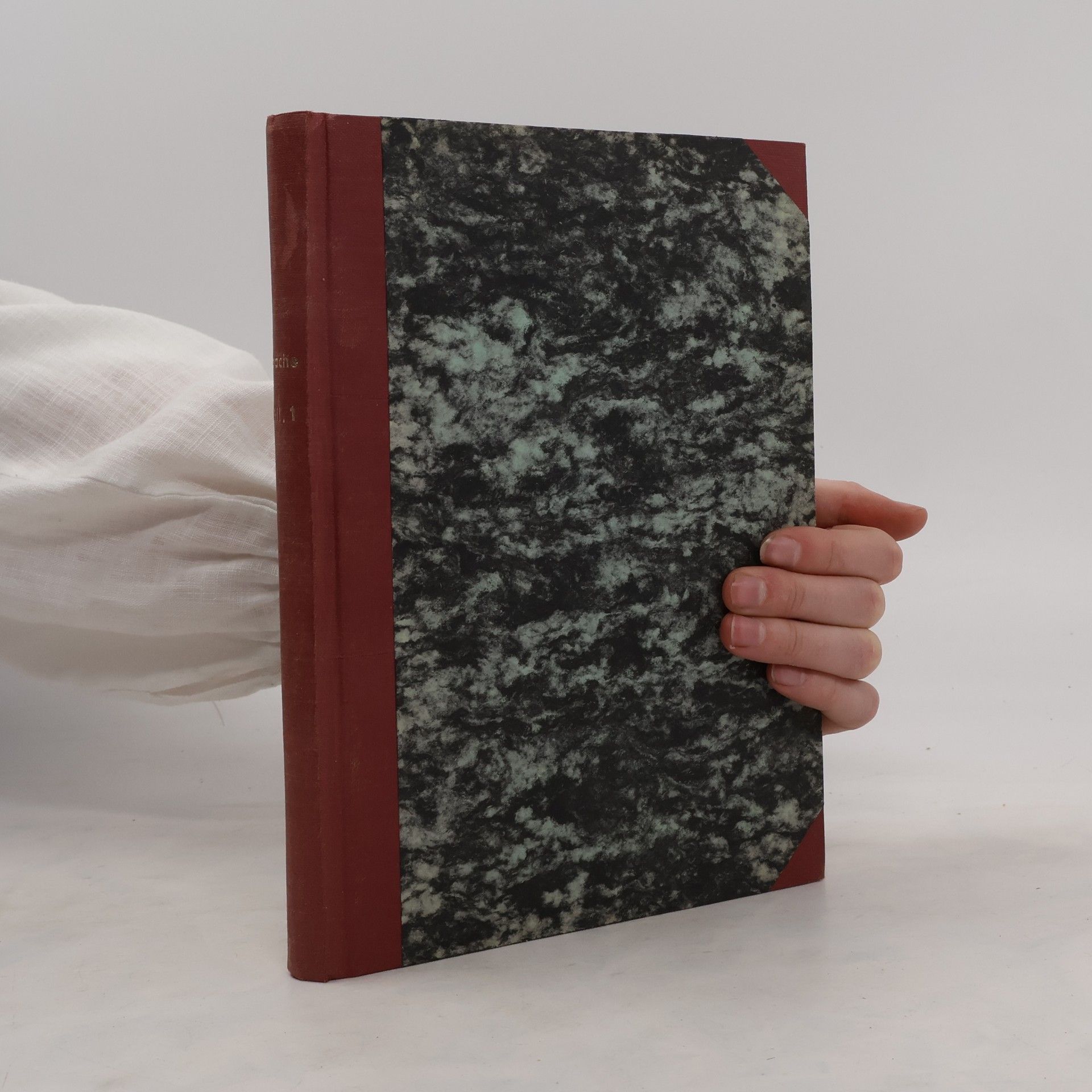 Autorenkollektiv Die Sprache. Zeitchrift für Sprachenwissenschaft 22