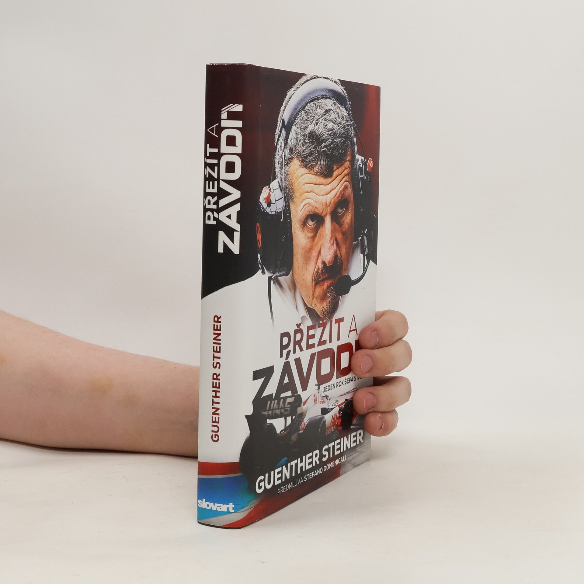 Guenther Steiner Přežít a závodit