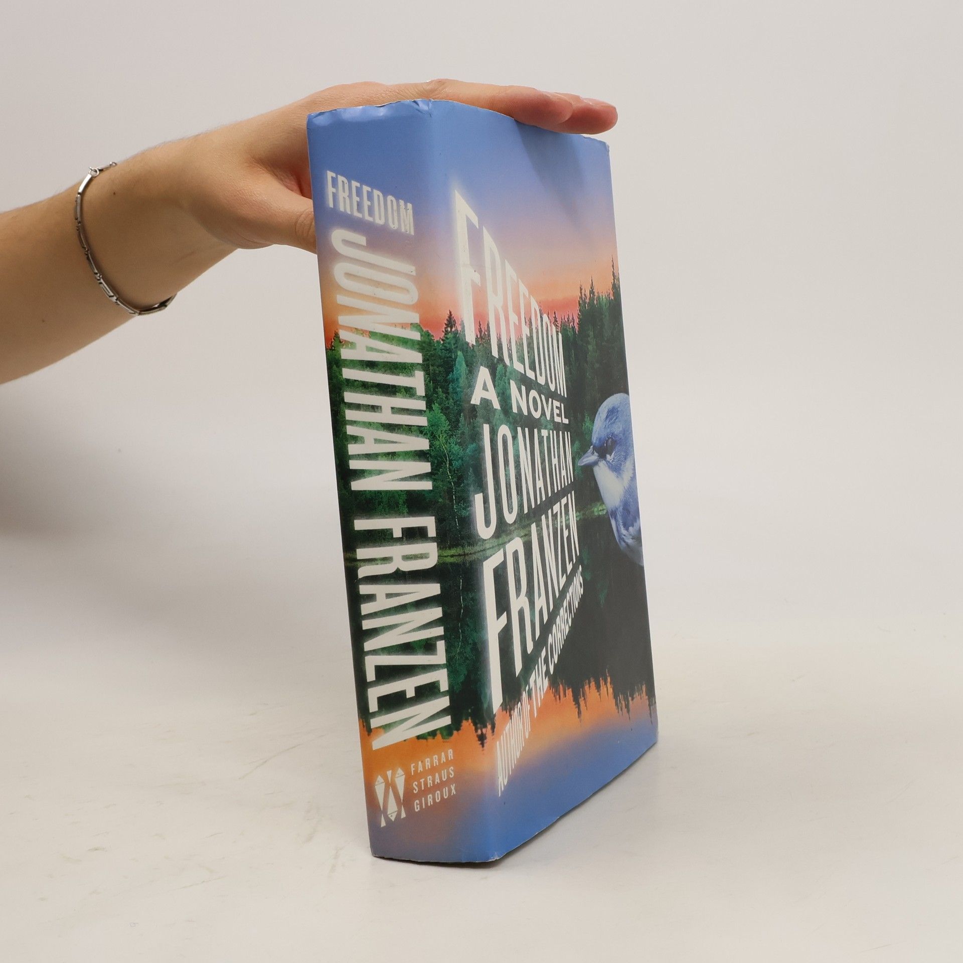 Jonathan Franzen Freedom