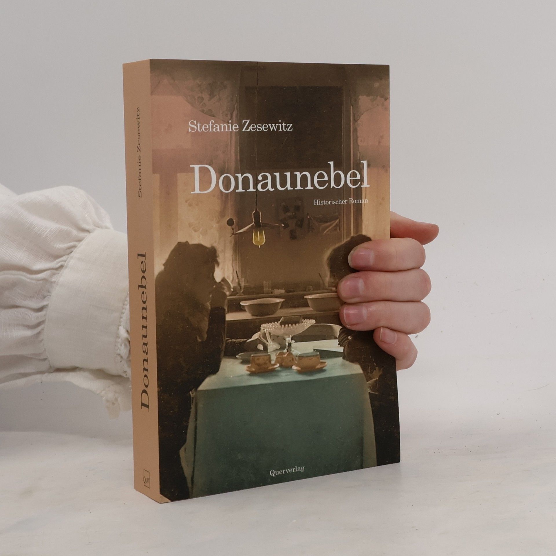 Stefanie Zesewitz Donaunebel