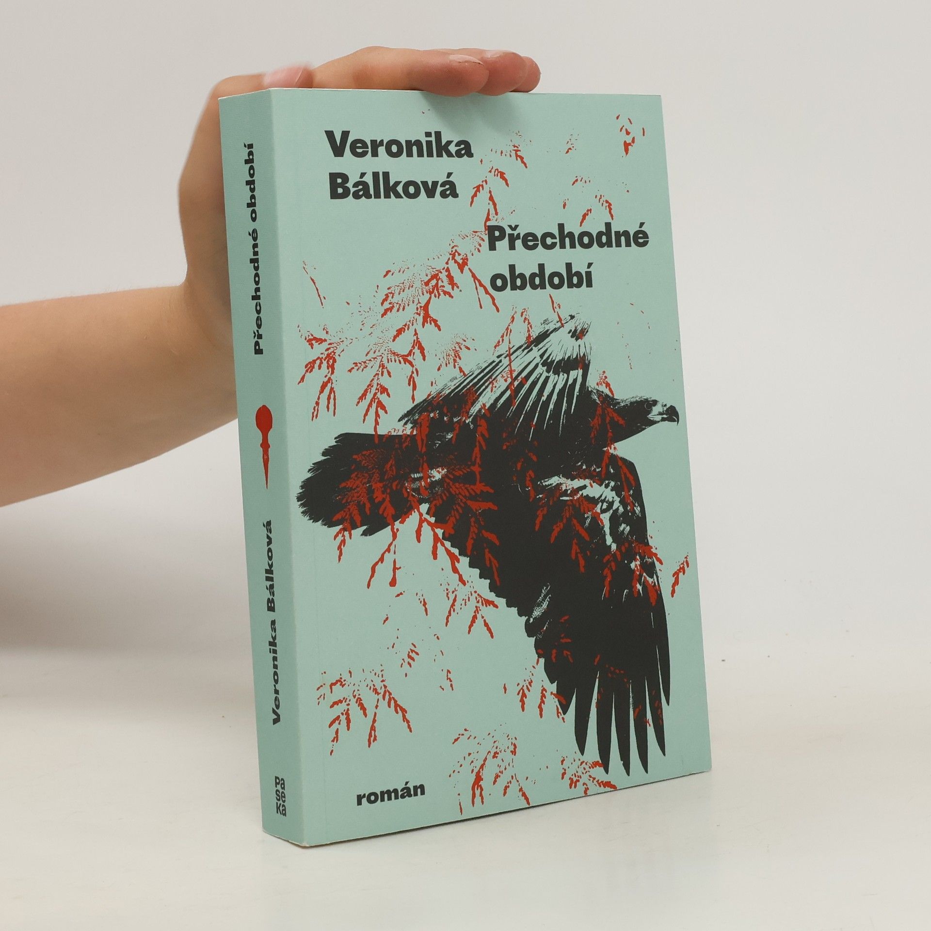 Veronika Bálková Přechodné období