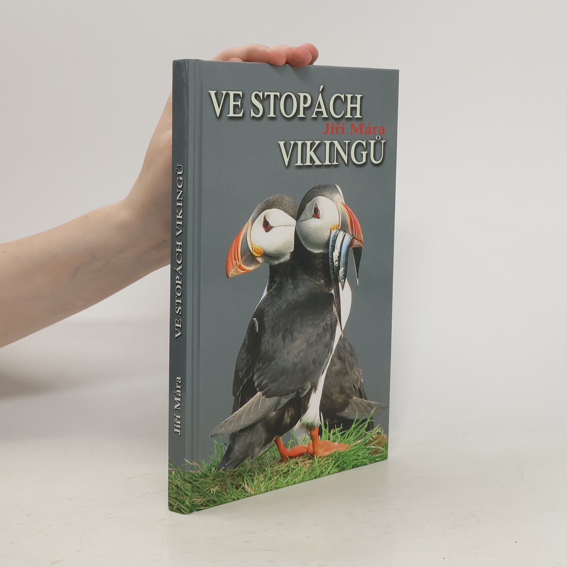 Jiří Mára Ve stopách Vikingů