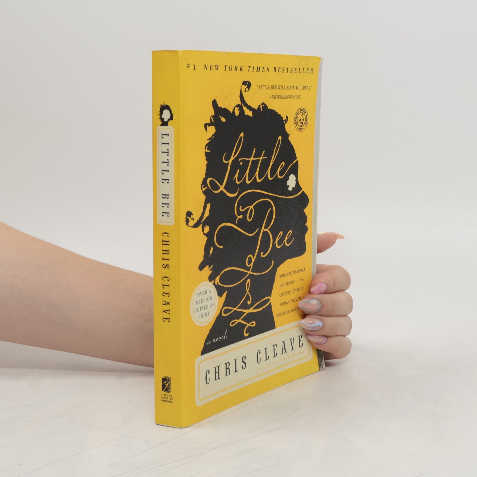 Chris Cleave Little Bee