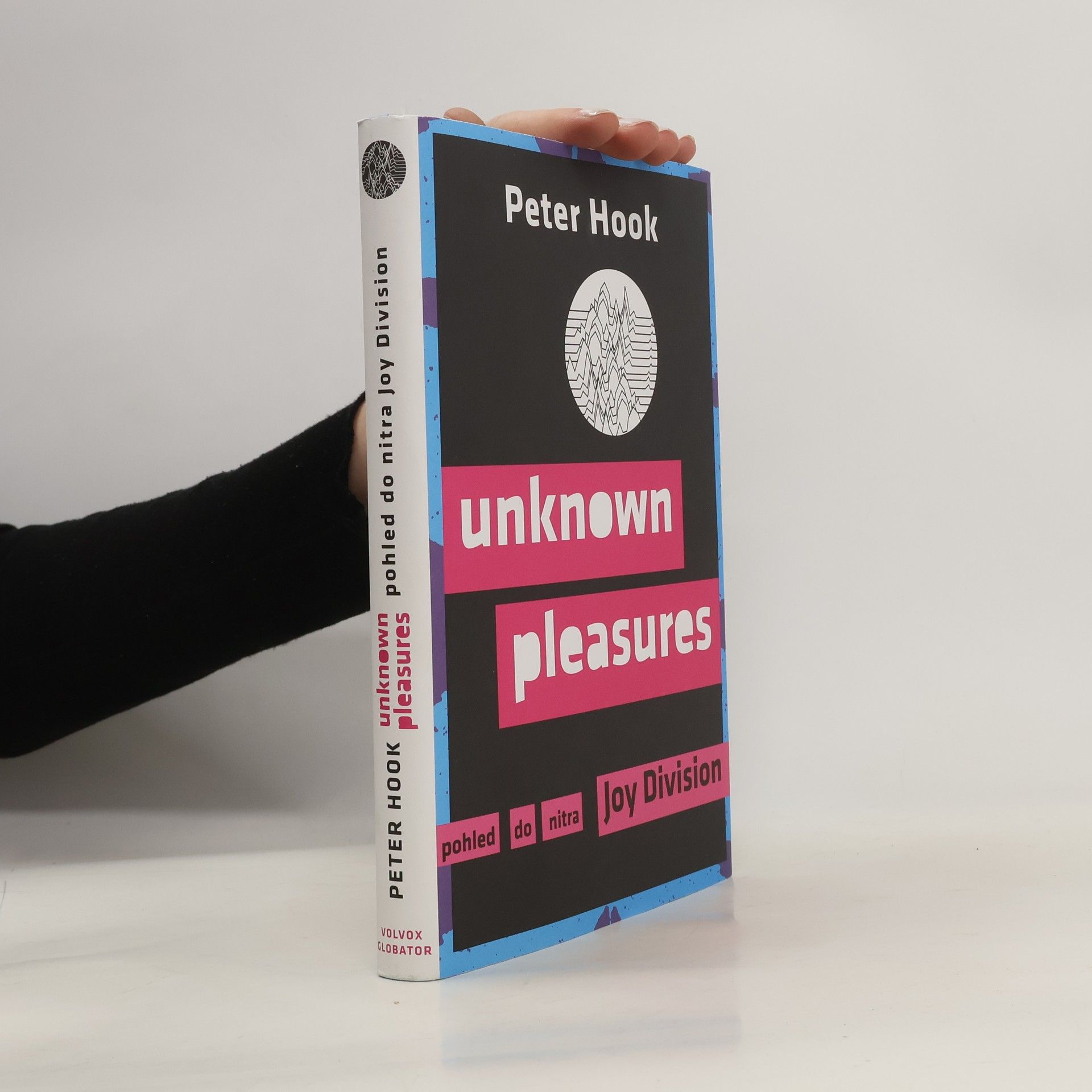 Peter Hook Unknown Pleasures - Pohled do nitra Joy Division