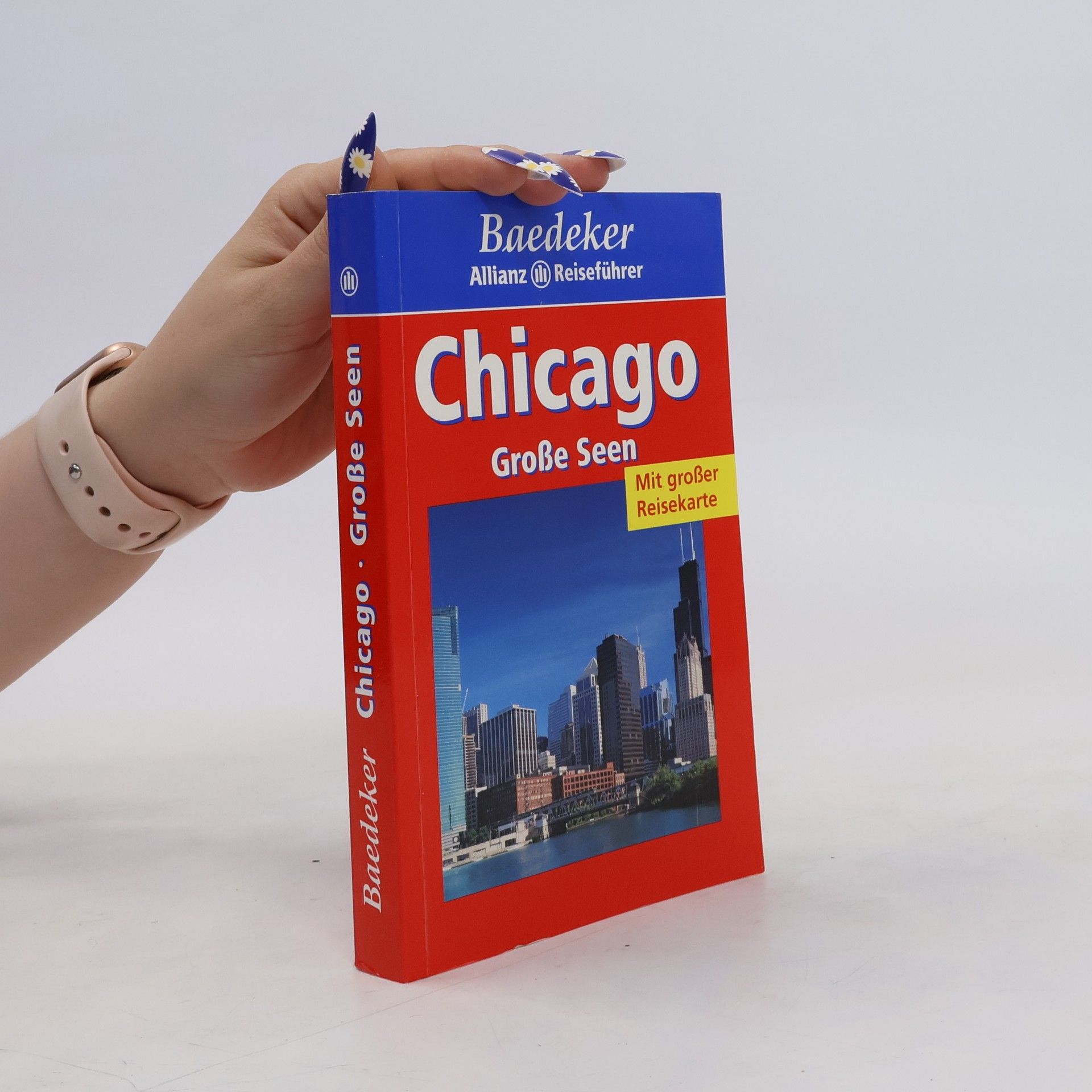 Manfred Braunger Chicago, Große Seen