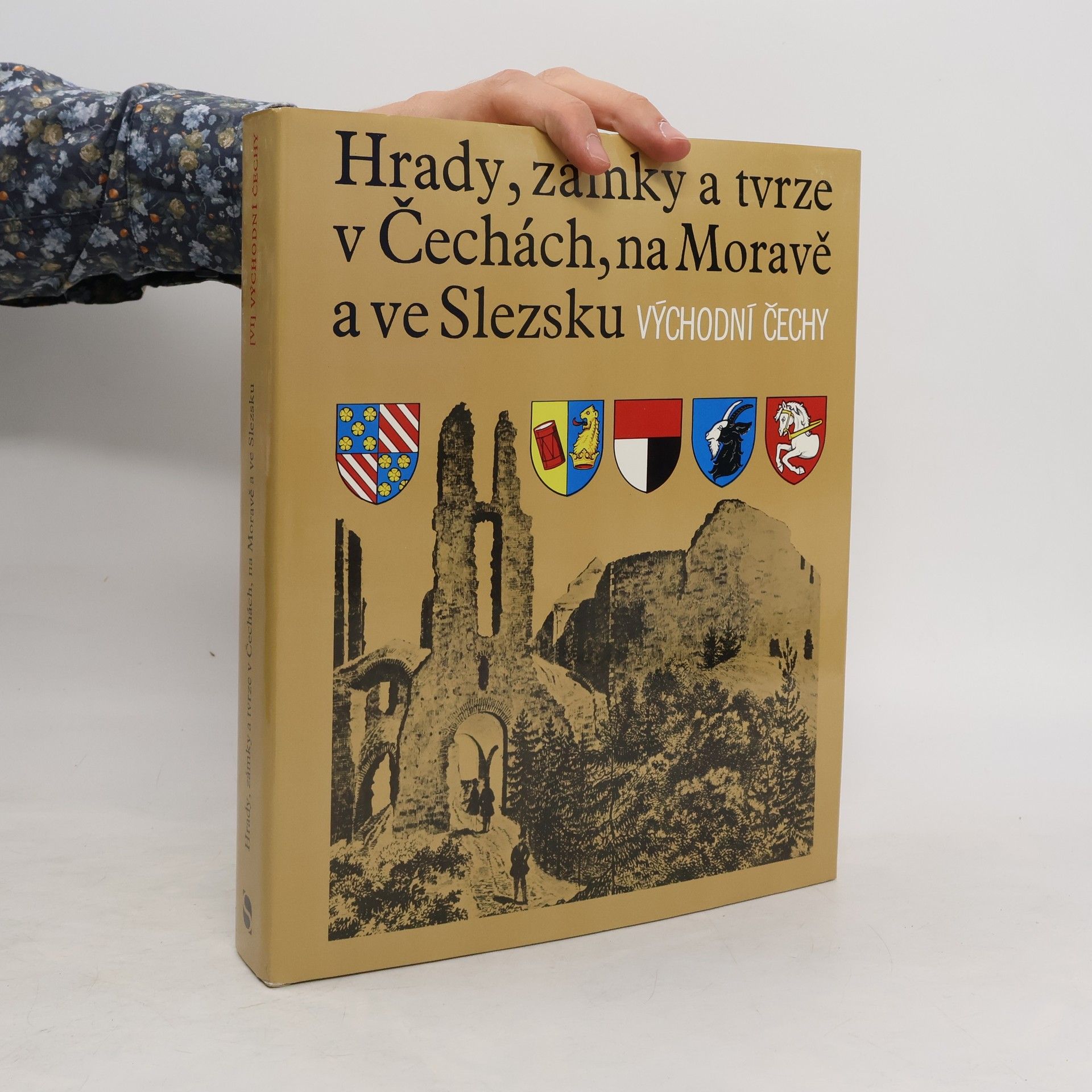 Kolektiv autorů Hrady, zámky a tvrze v Čechách na Moravě a ve Slezsku VI. Východní Čechy