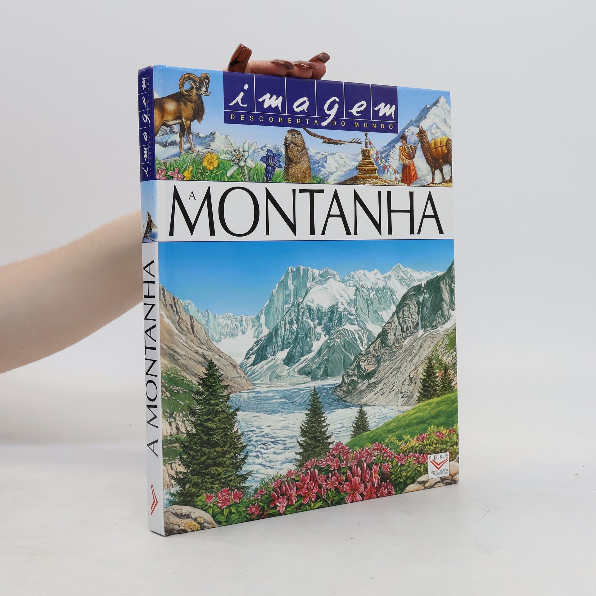 Autorenkollektiv A Montanha