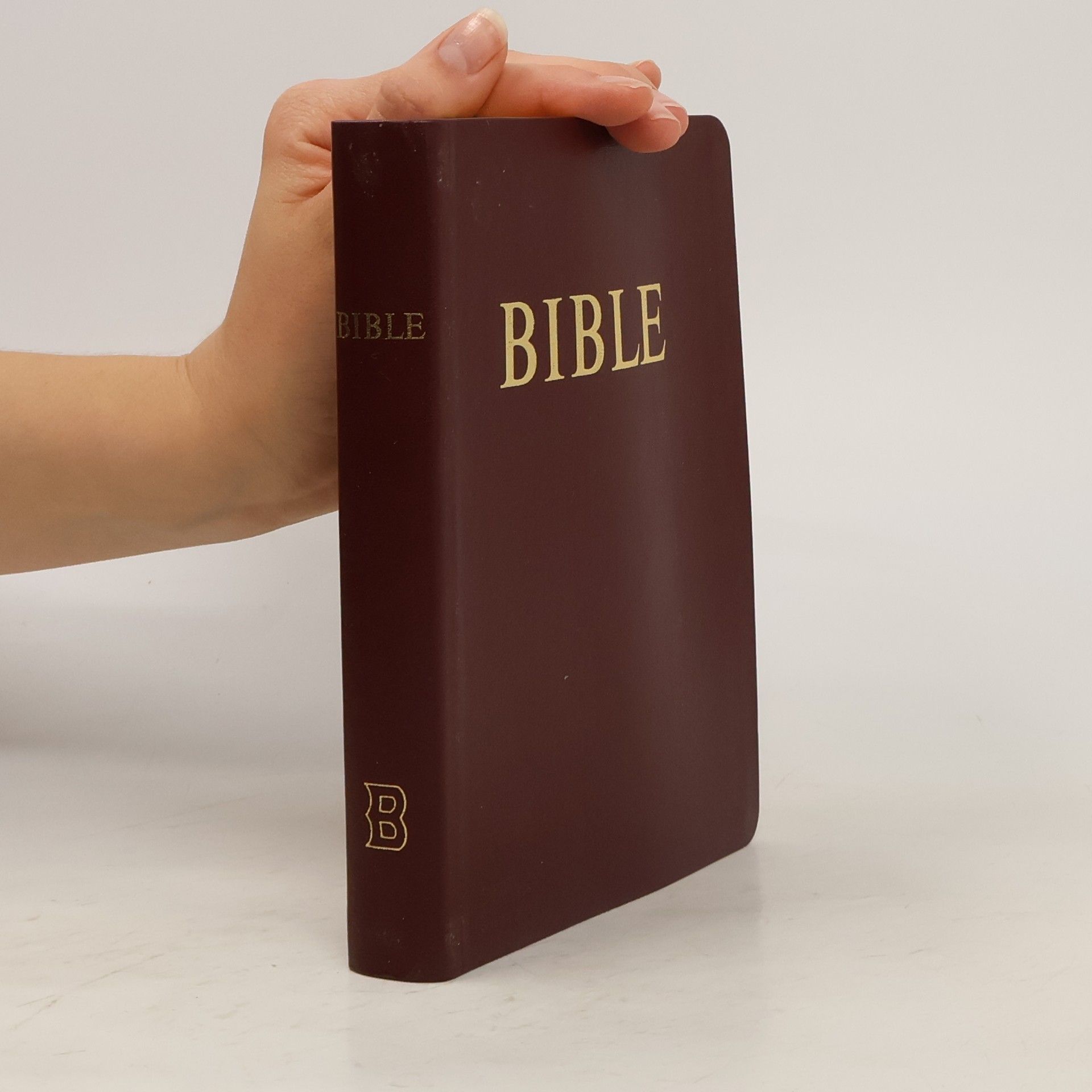 Autorenkollektiv Bible : písmo svaté Starého a Nového zákona : český ekumenický překlad