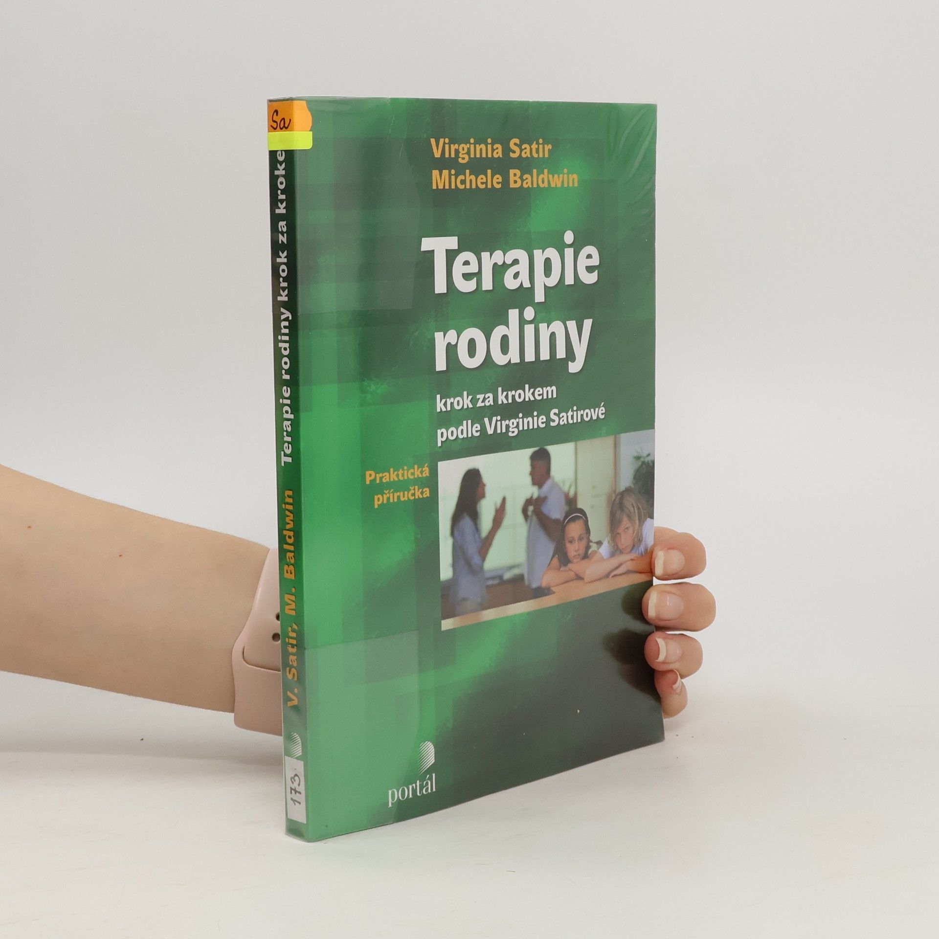 Virginia Satir Terapie rodiny