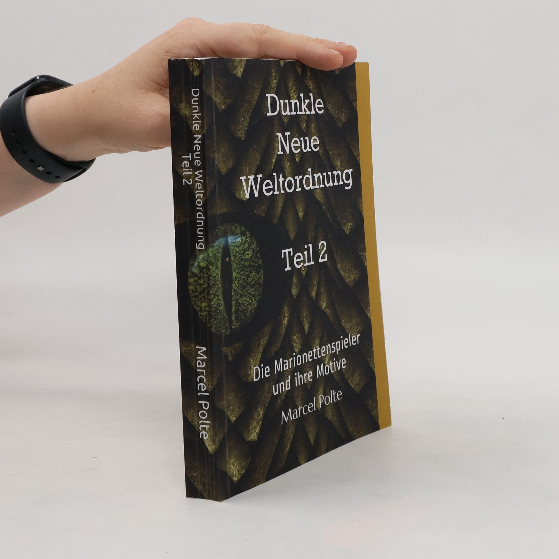 Marcel Polte Dunkle neue Weltordnung. Teil 2