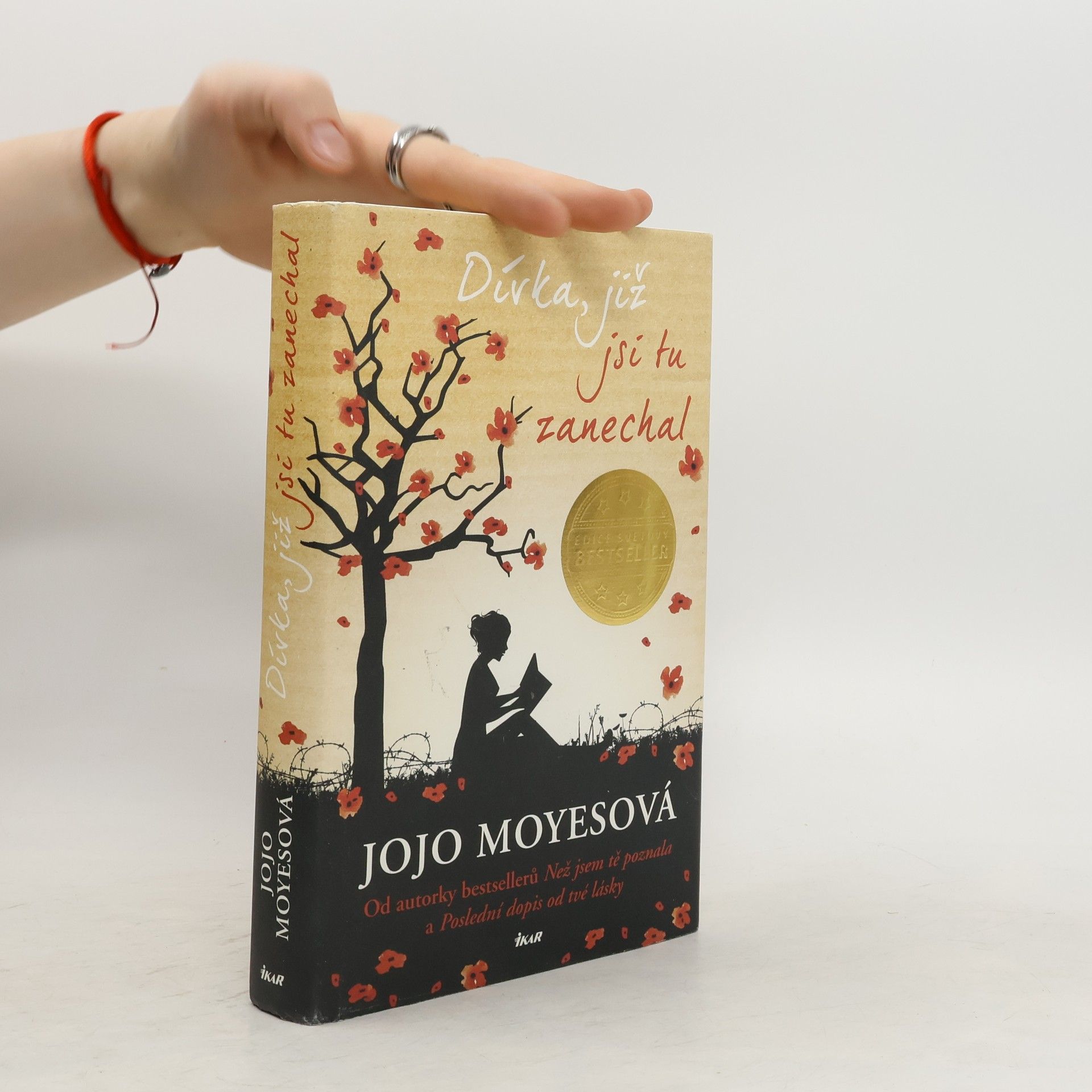 Lucie Mikolajková Dívka, již jsi tu zanechal