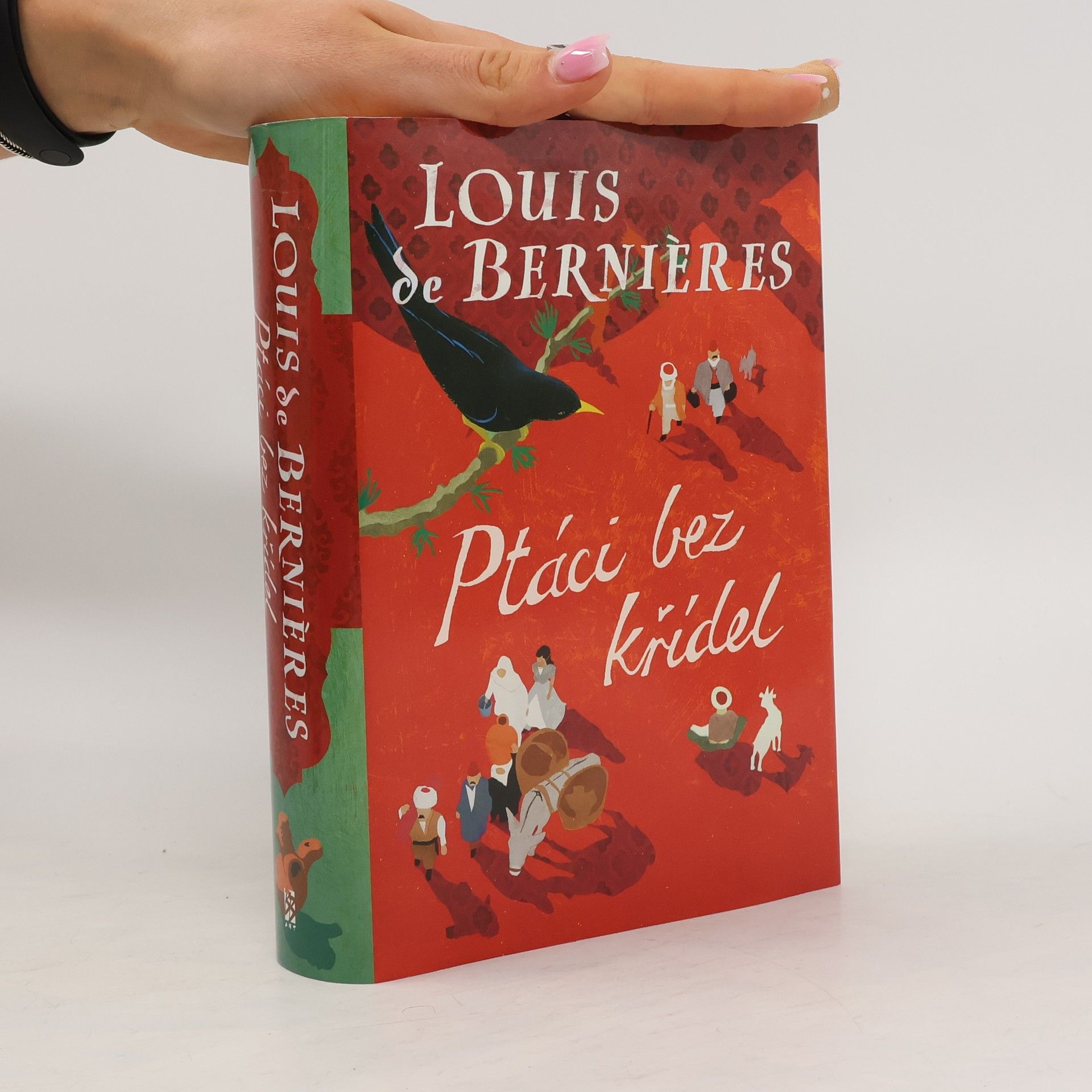 Louis de Bernières Ptáci bez křídel