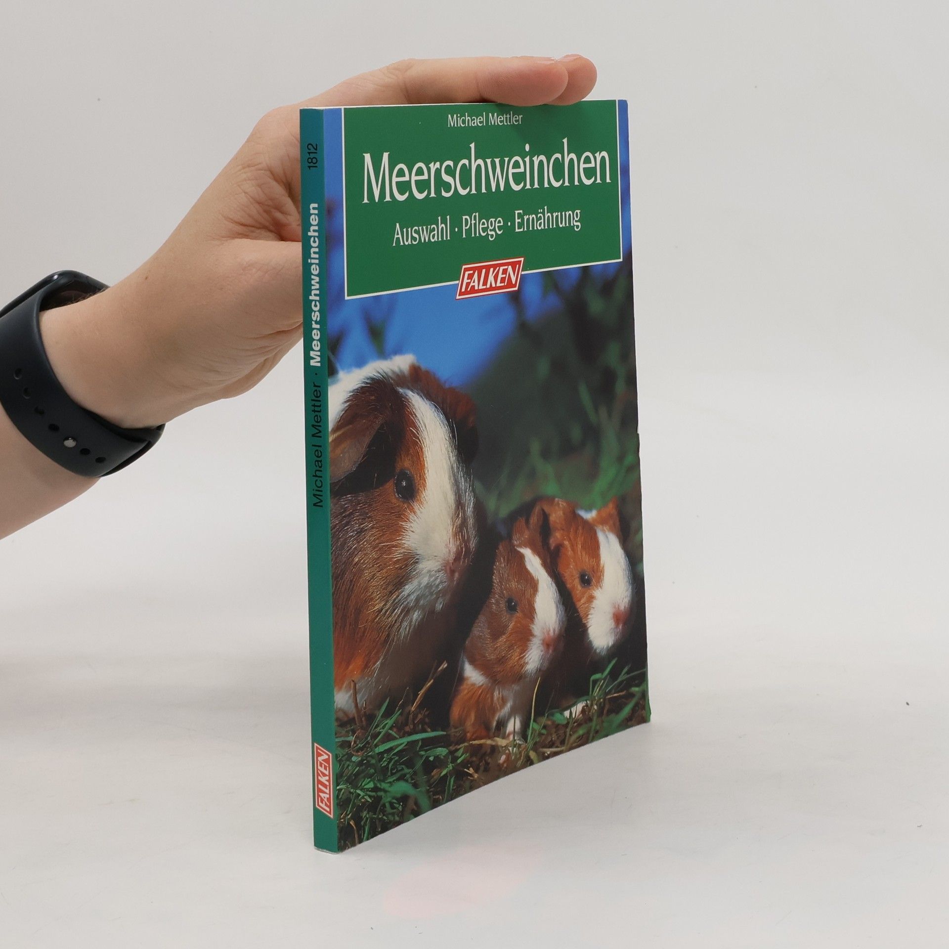 Michael Mettler Meerschweinchen