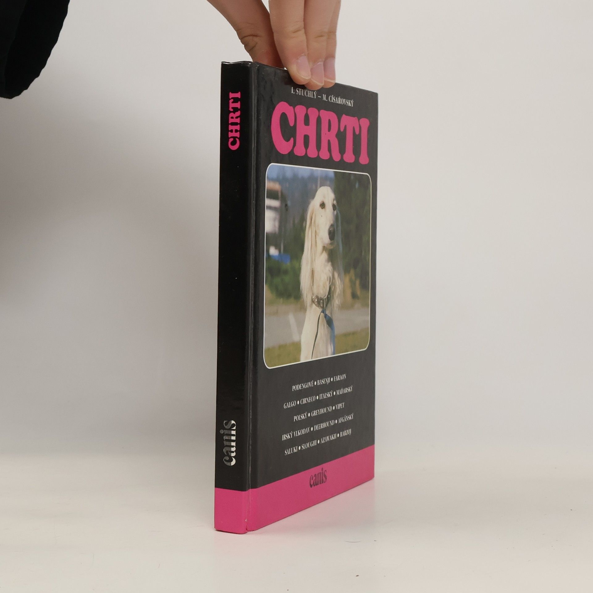 Michal Císařowský Chrti