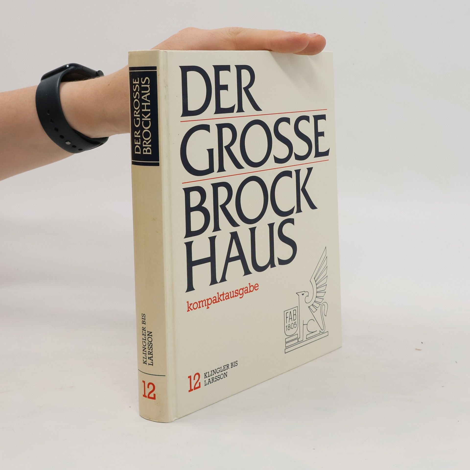 kolektiv Der Grosse Brockhaus 12