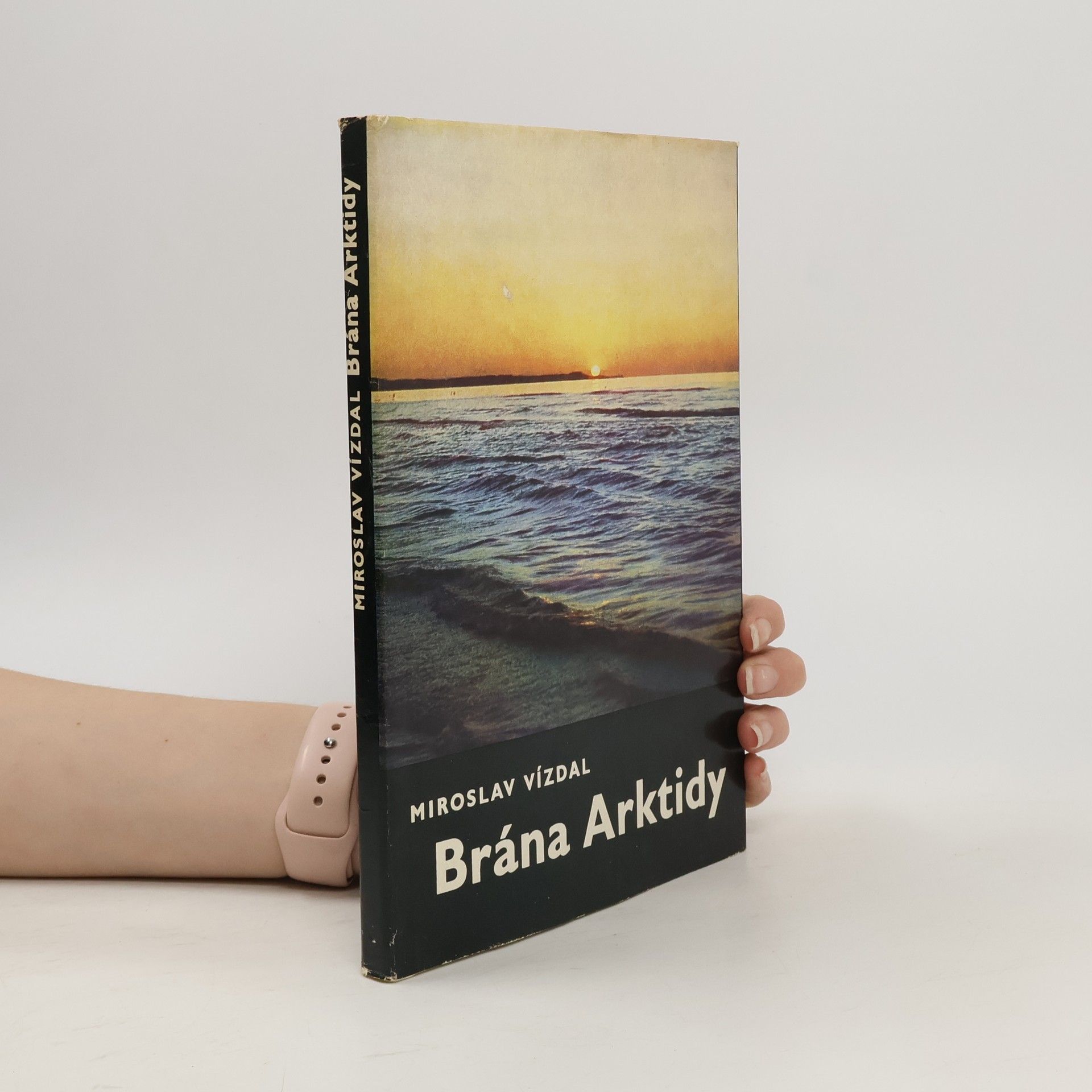 Miroslav Vízdal Brána Arktidy