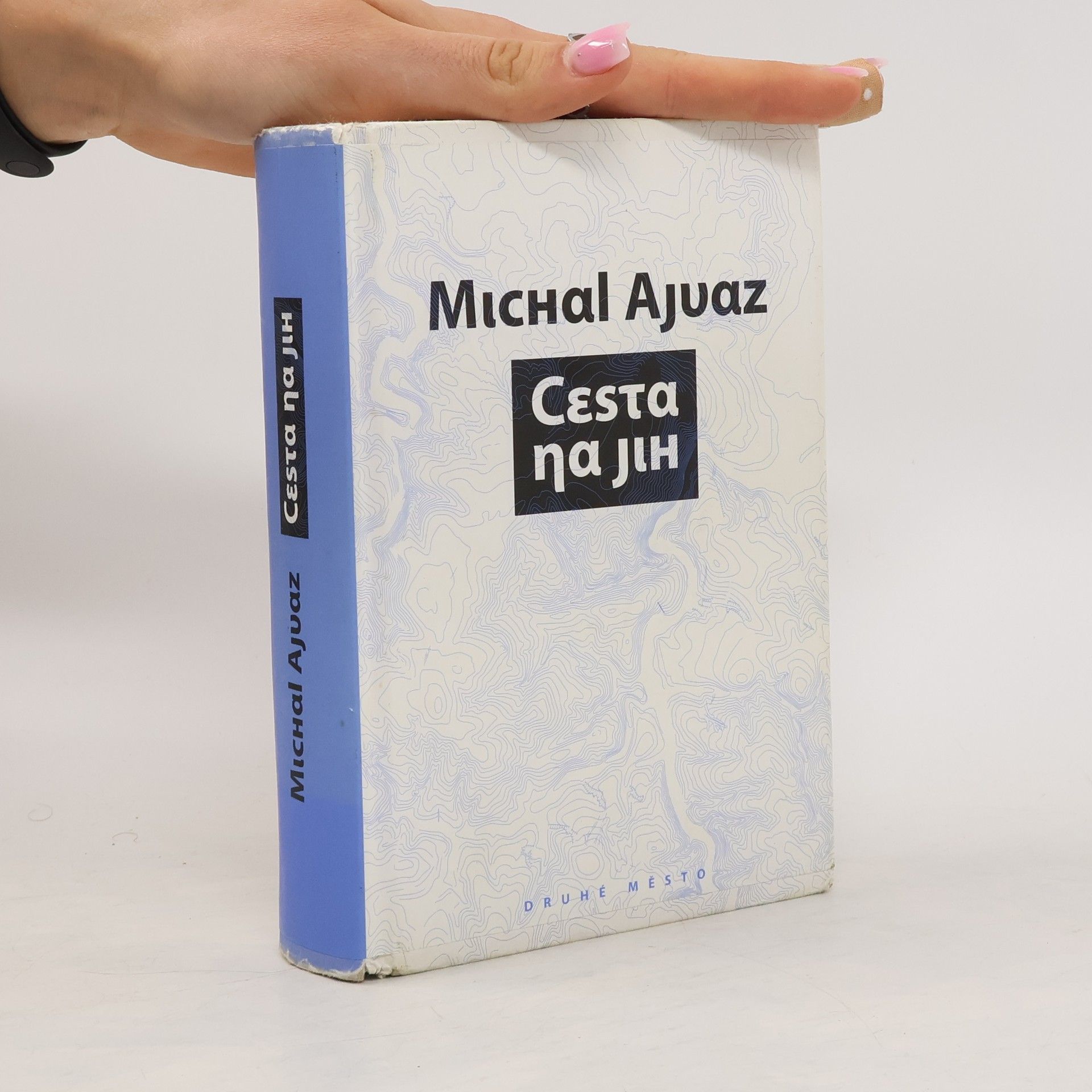 Michal Ajvaz Cesta na jih