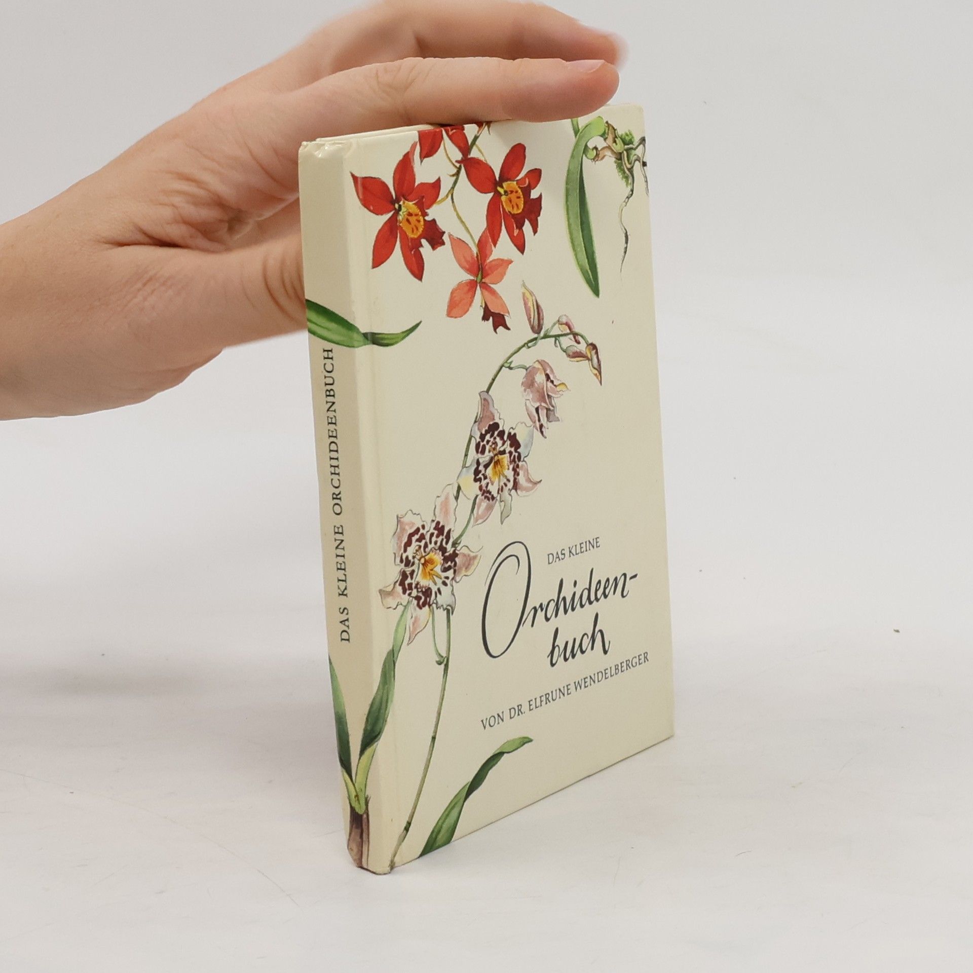 Elfrune Wendelberger Das kleine Orchideenbuch