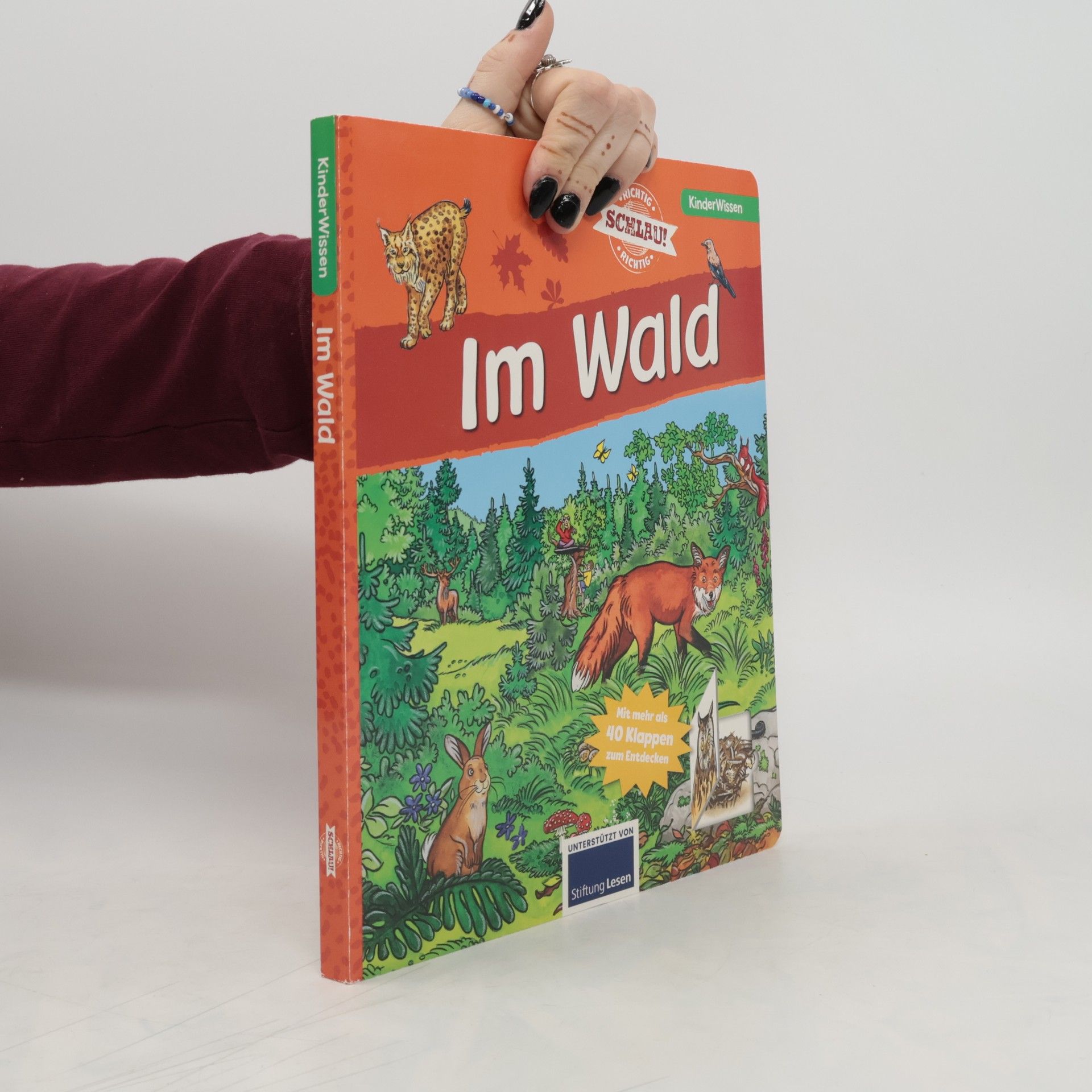 Collectif d'auteurs Im Wald