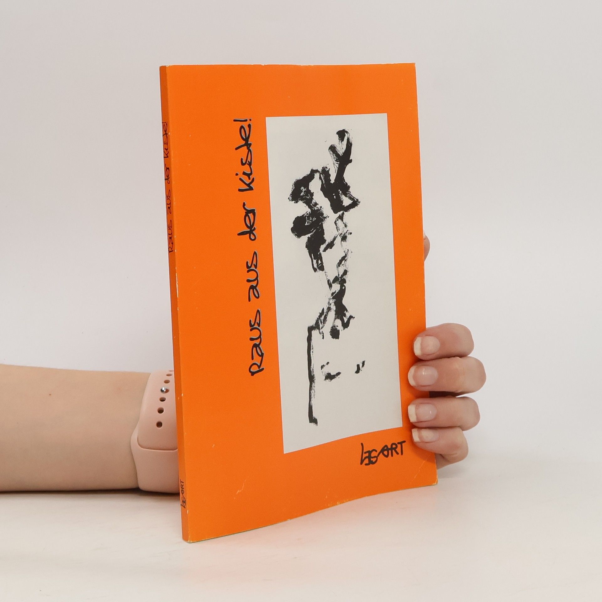 Autorenkollektiv Raus aus der Kiste!