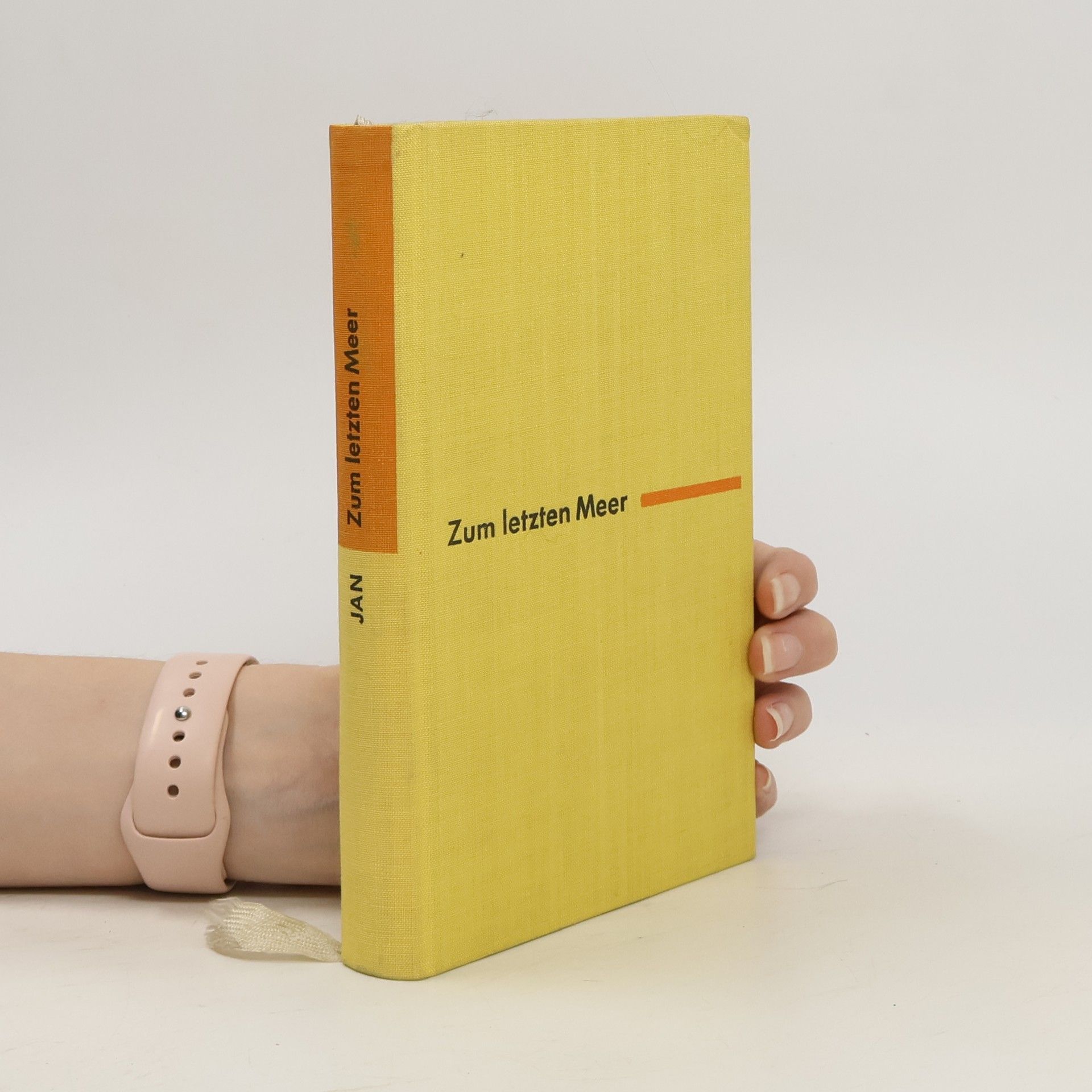 W. Jan Zum letzten Meer