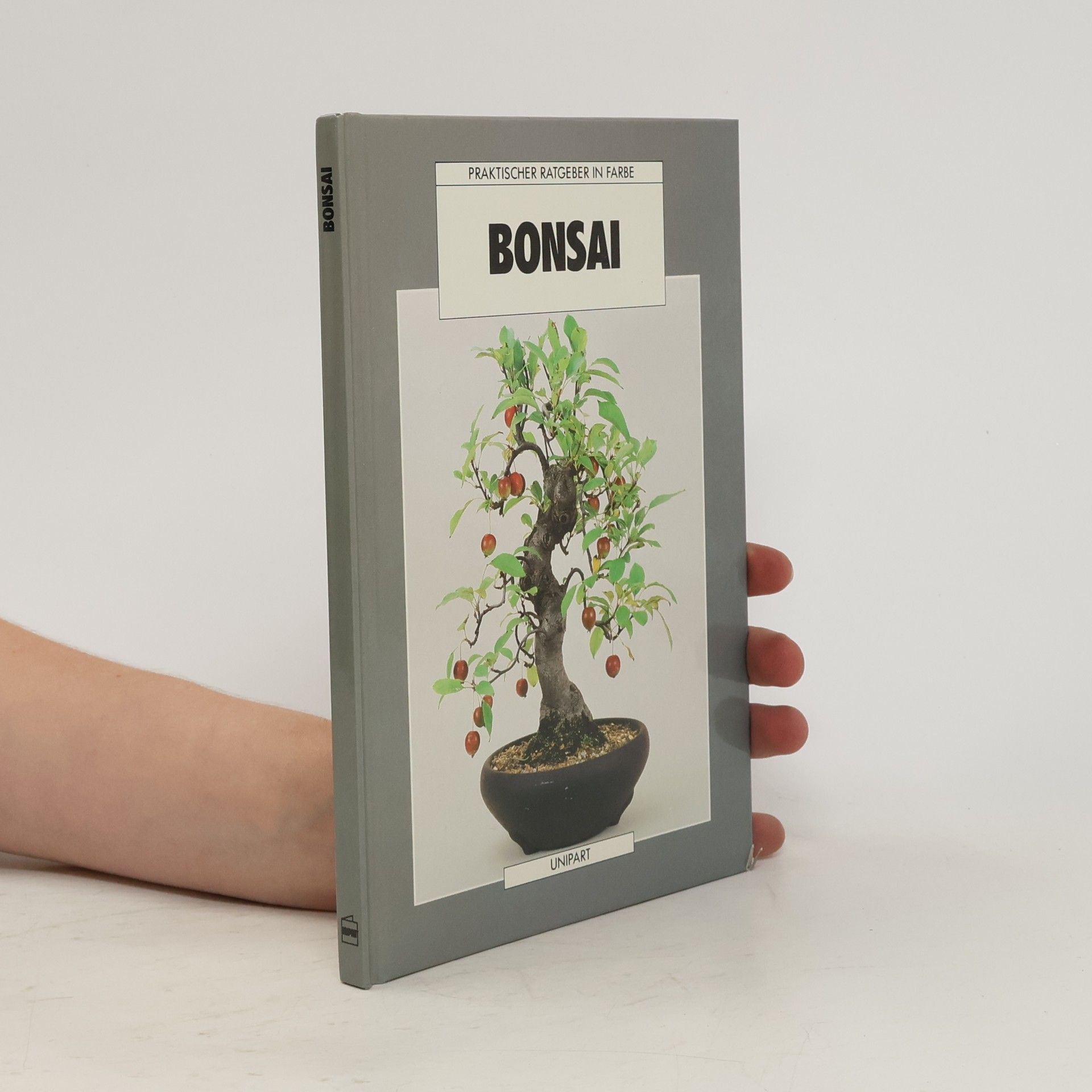 Anne Swinton Bonsai