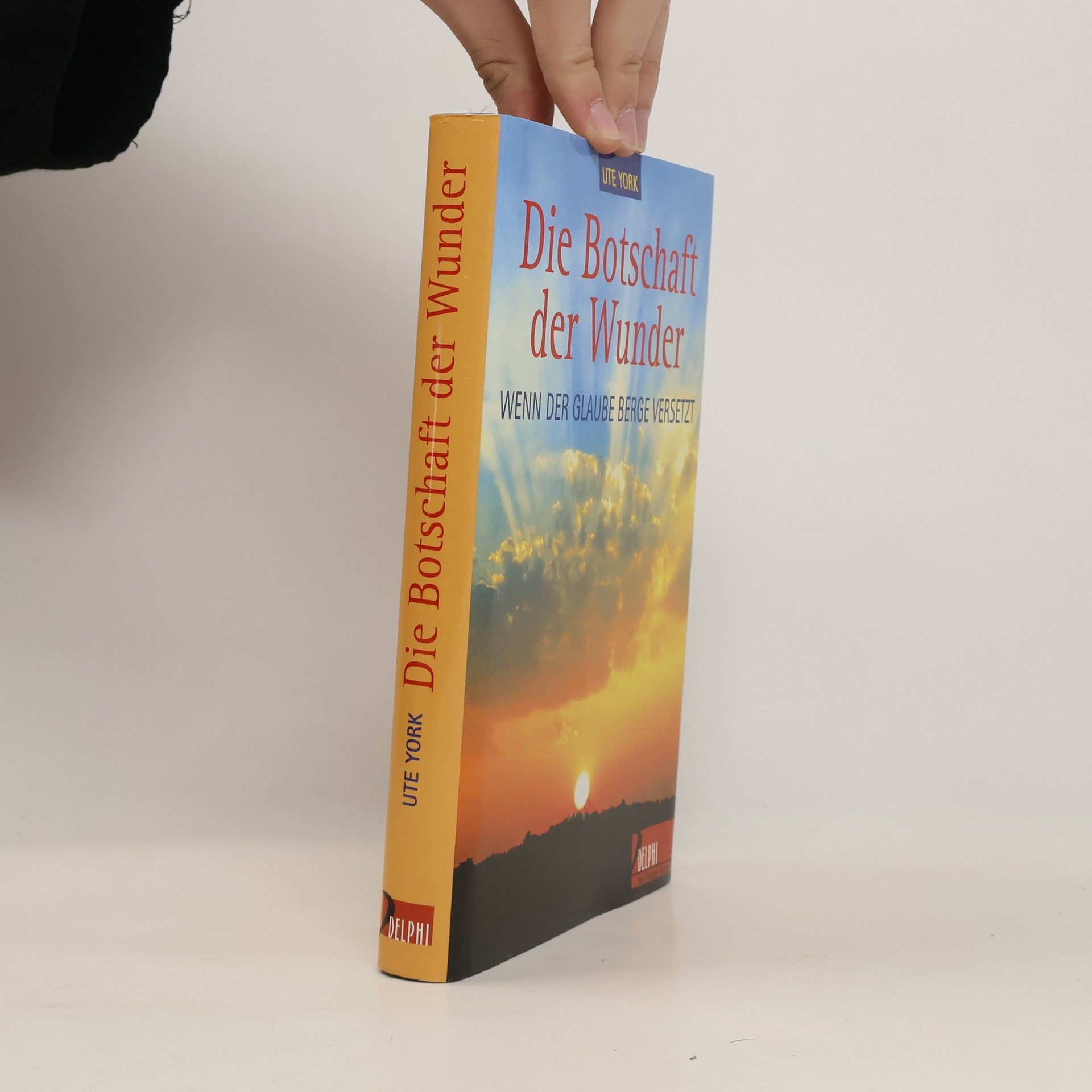Ute York Die Botschaft der Wunder. Wenn der Glaube Berge versetzt