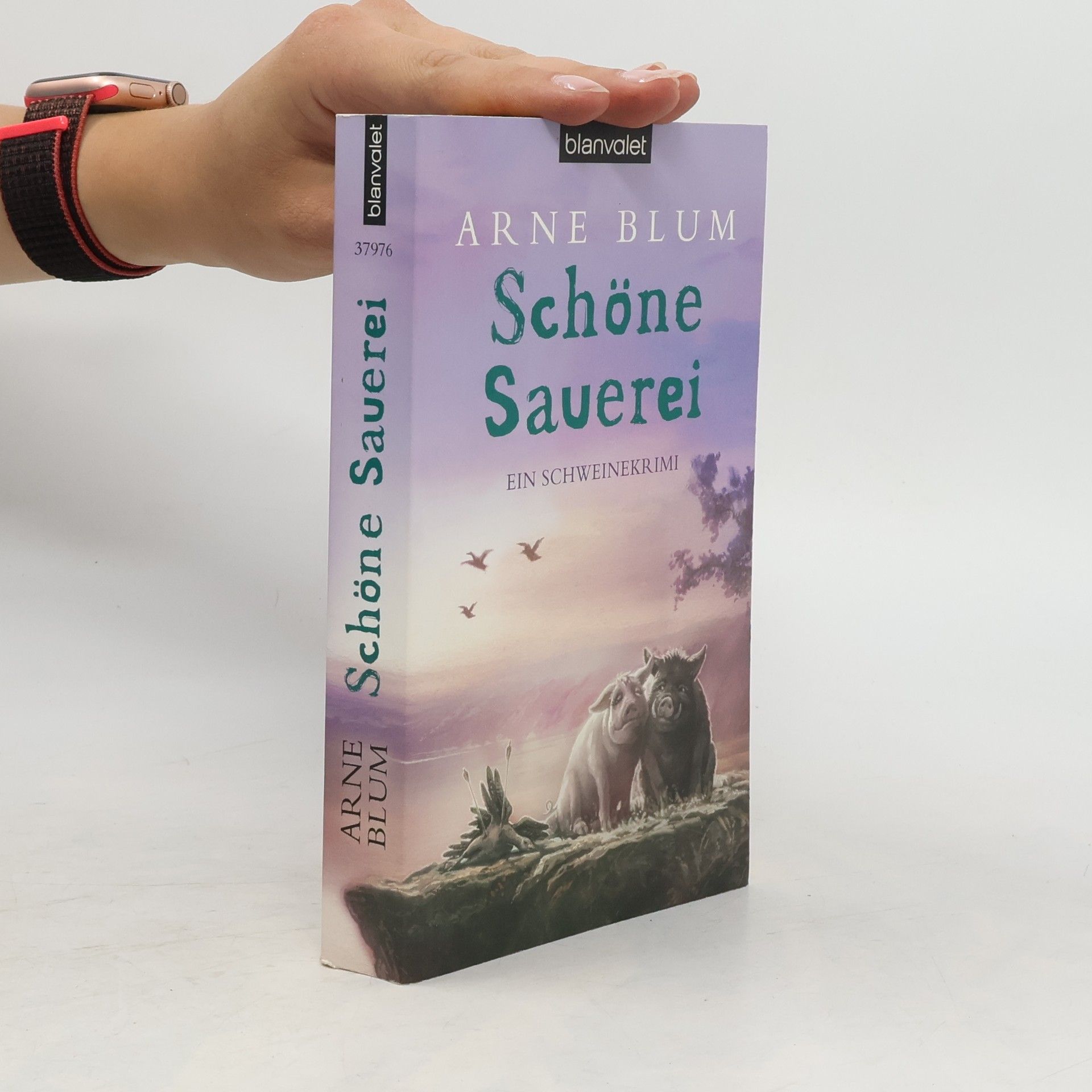 Arne Blum Schöne Sauerei
