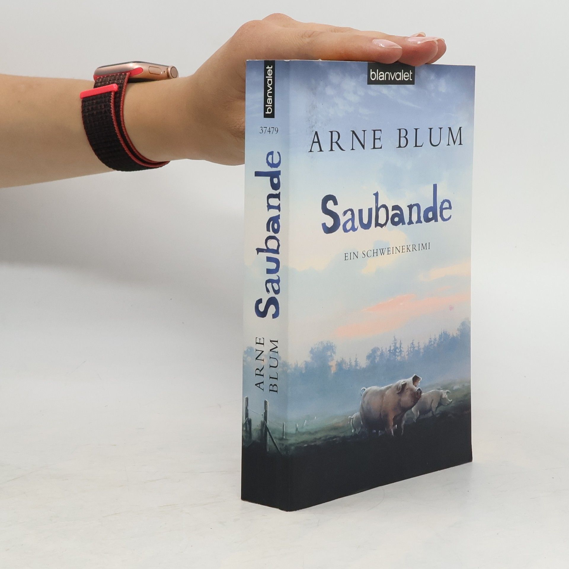Arne Blum Saubande